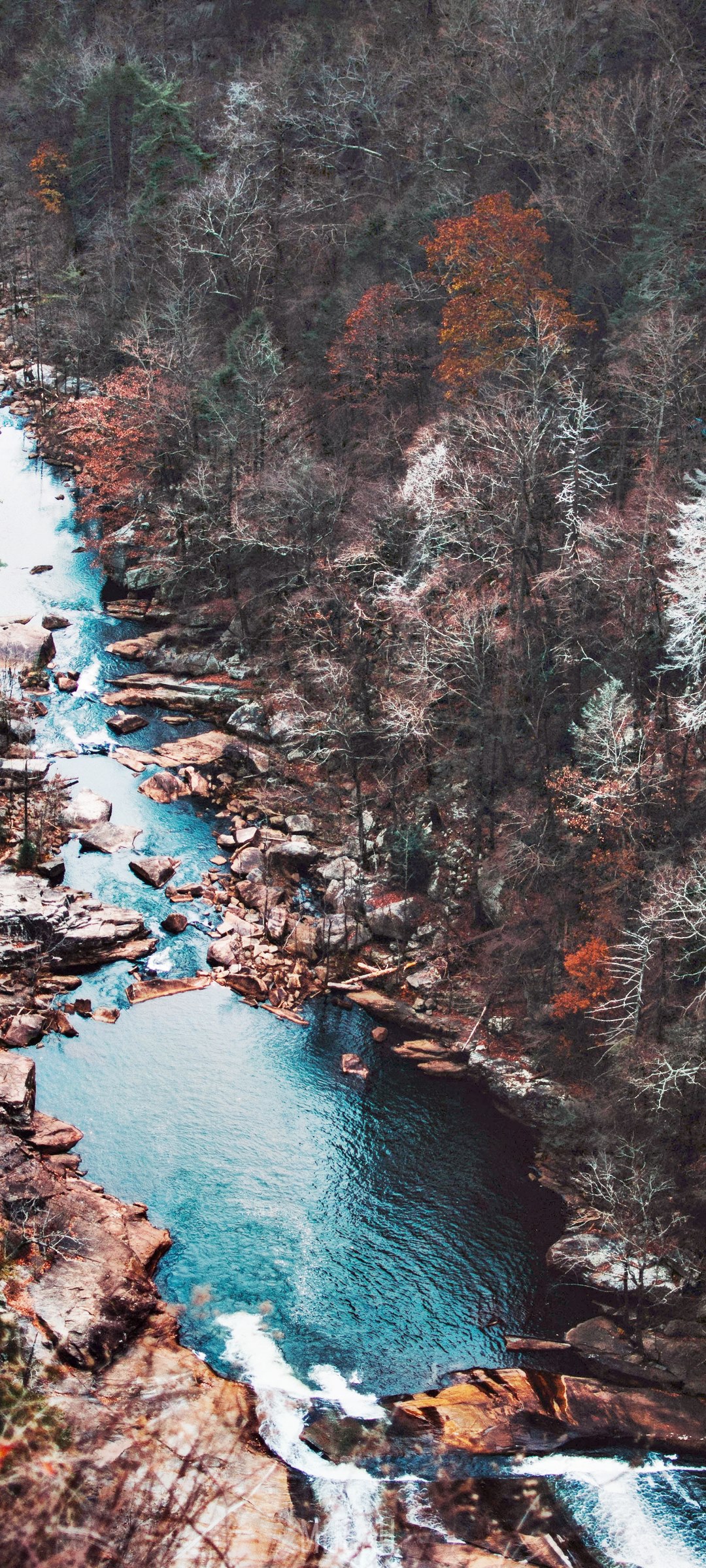 Drone shot of a stream in an autumn forest HD Phone Wallpaper