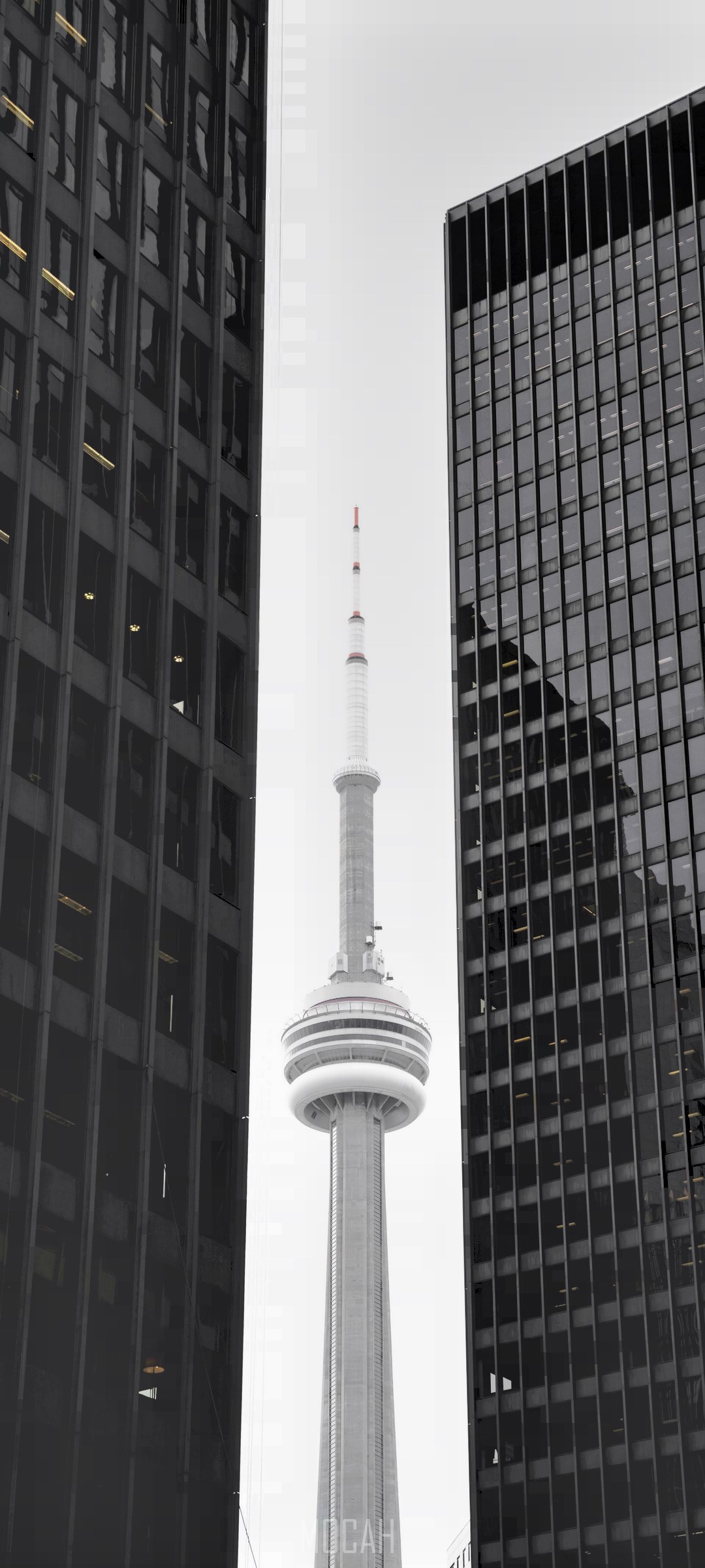 CN Tower between two skyscrapers HD Phone Wallpaper