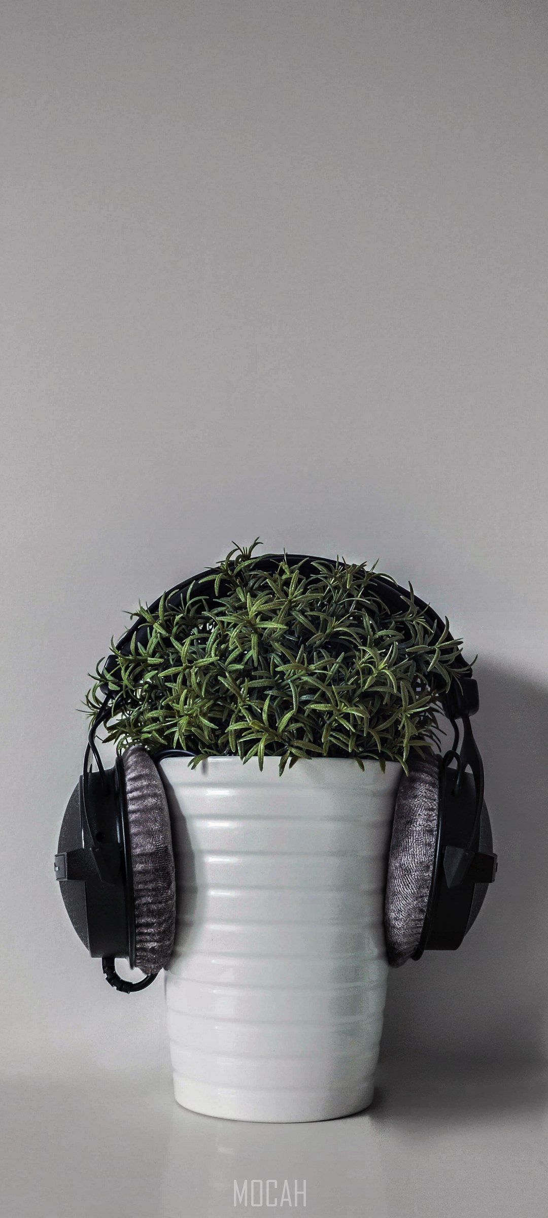 Headphones on a potted plant HD Phone Wallpaper