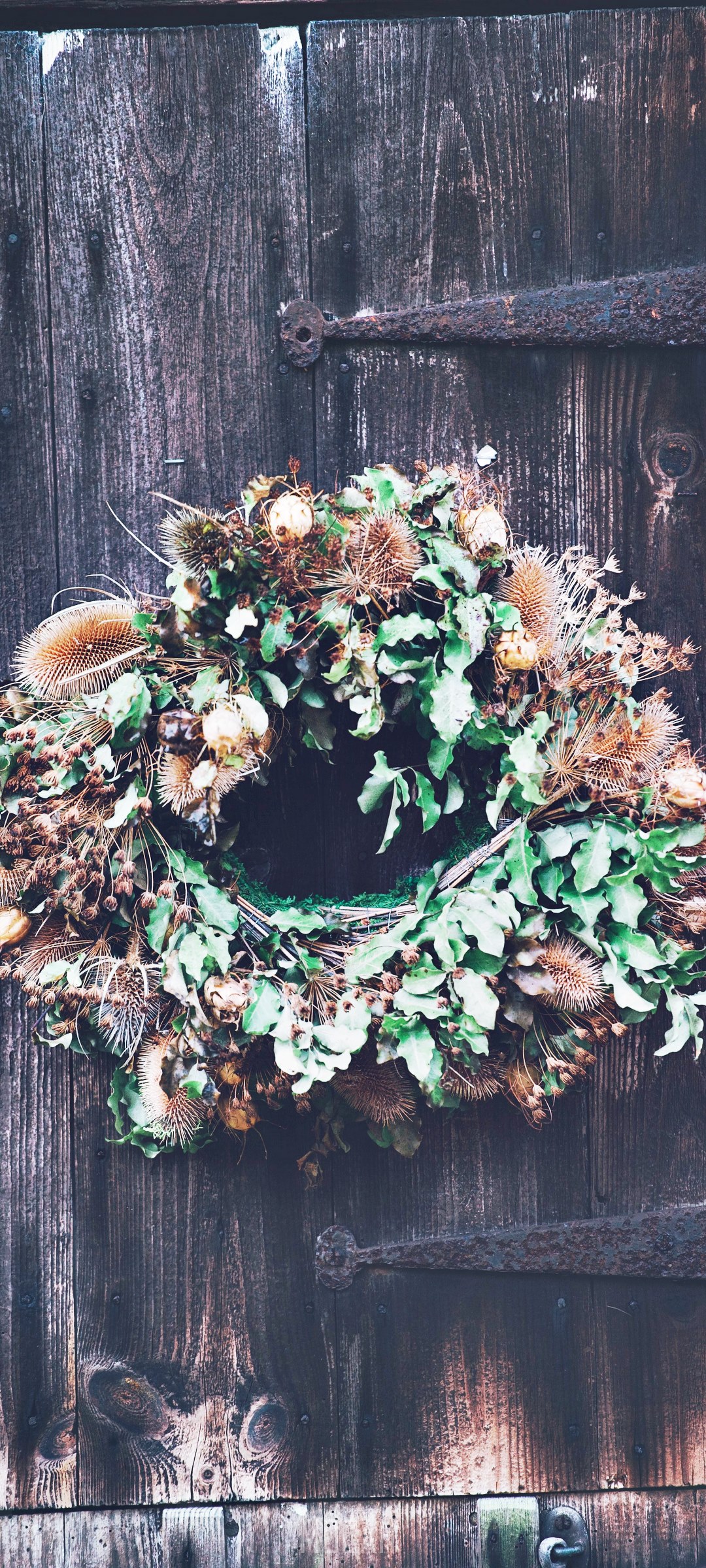 Dried wreath on a wooden door HD Phone Wallpaper