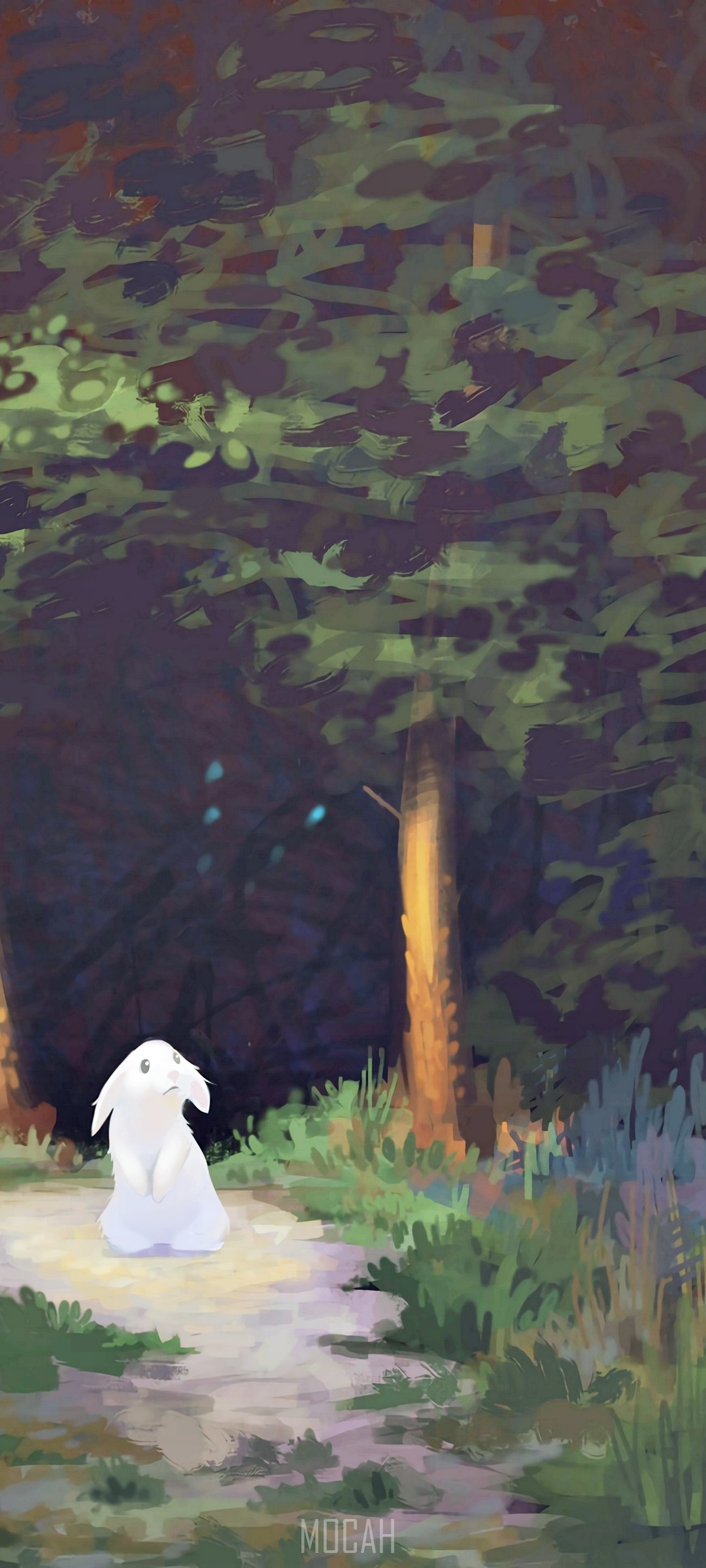 White rabbit in a dark forest path HD Phone Wallpaper