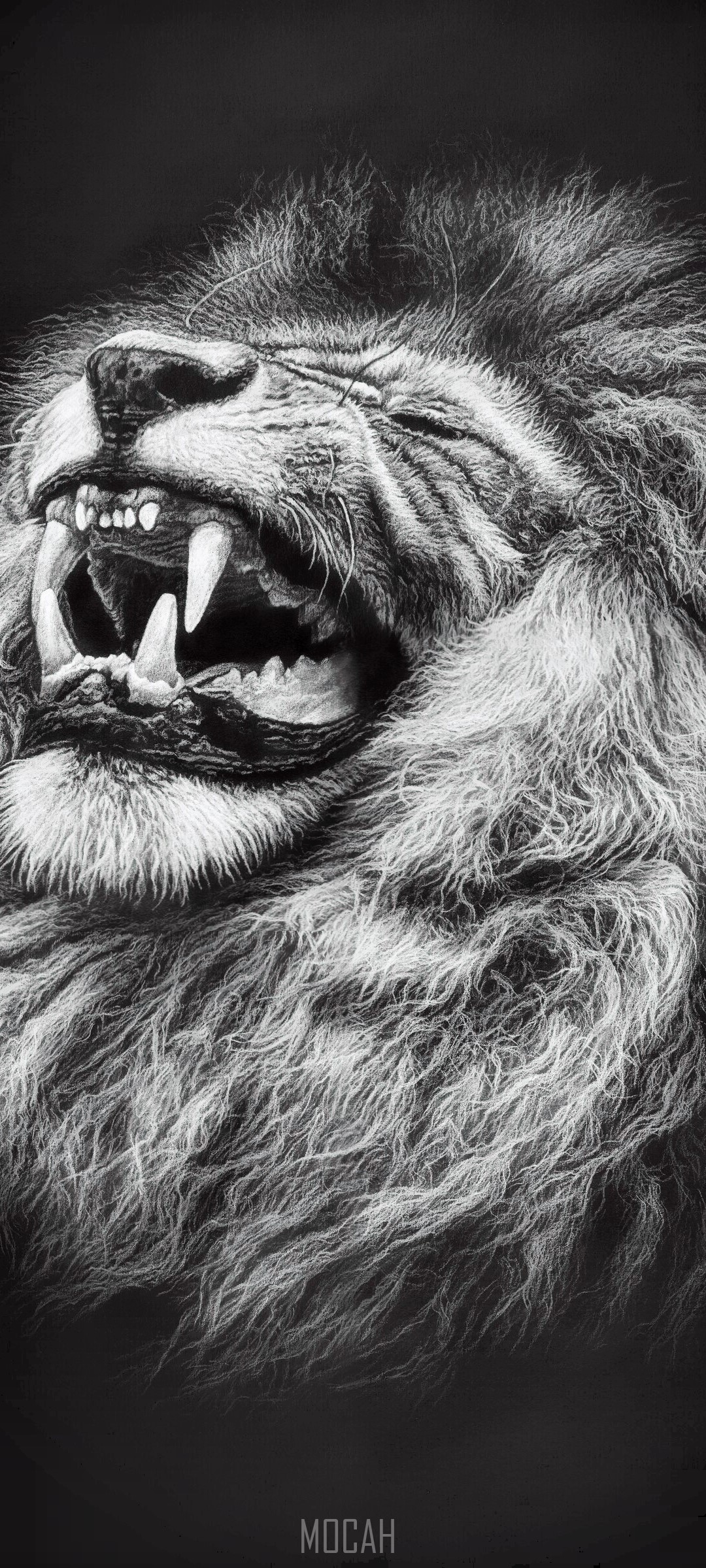 Monochrome drawing of a roaring lion HD Phone Wallpaper