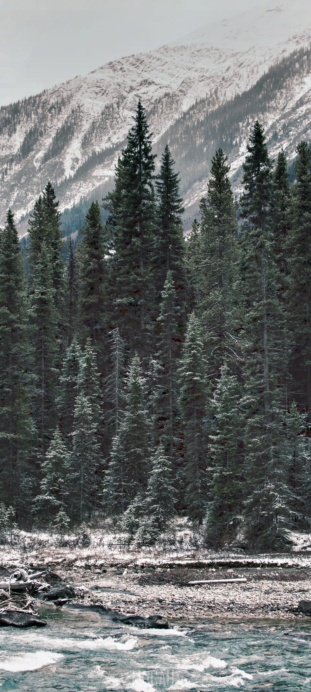 Snowy Mountain Forest and River Landscape HD Phone Wallpaper