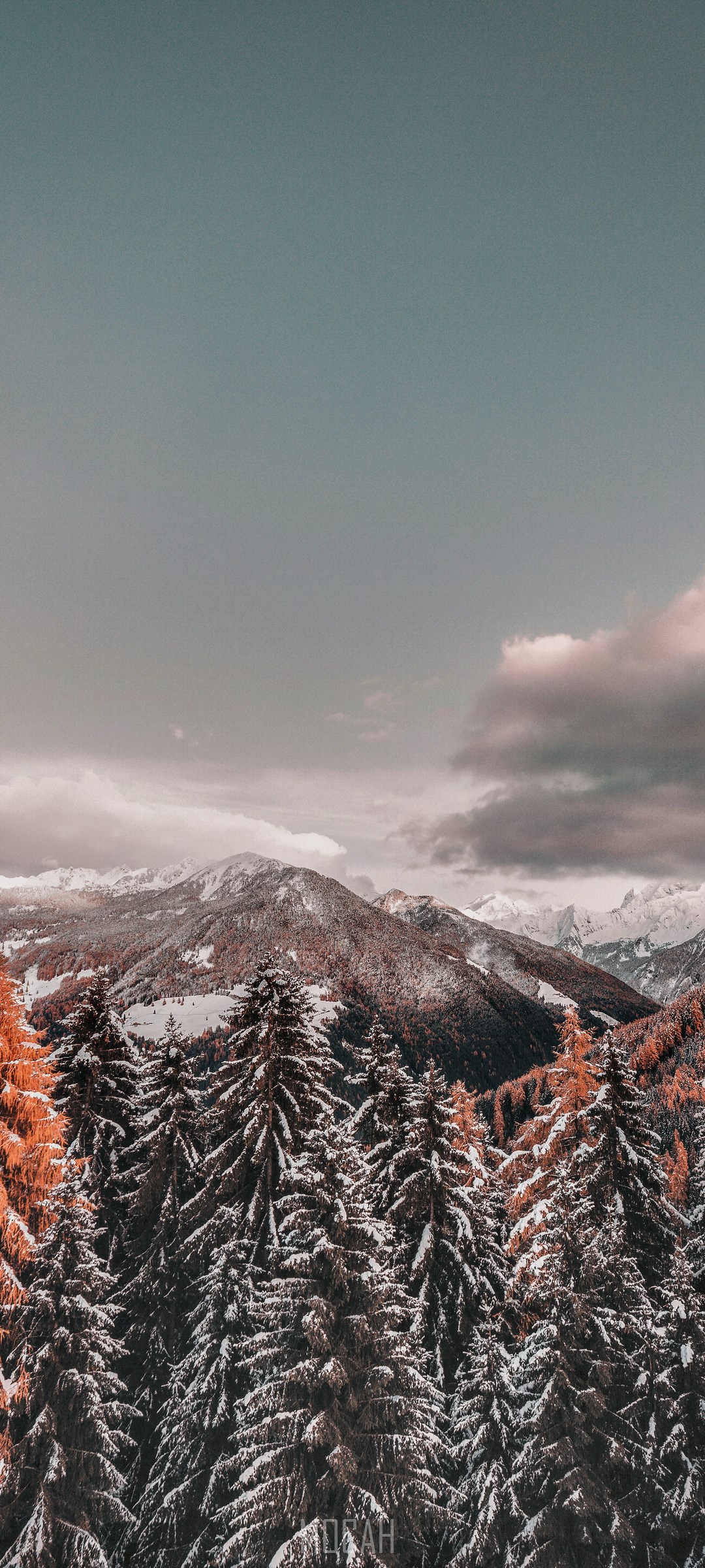 Winter mountain landscape with snow-covered pine trees HD Phone Wallpaper