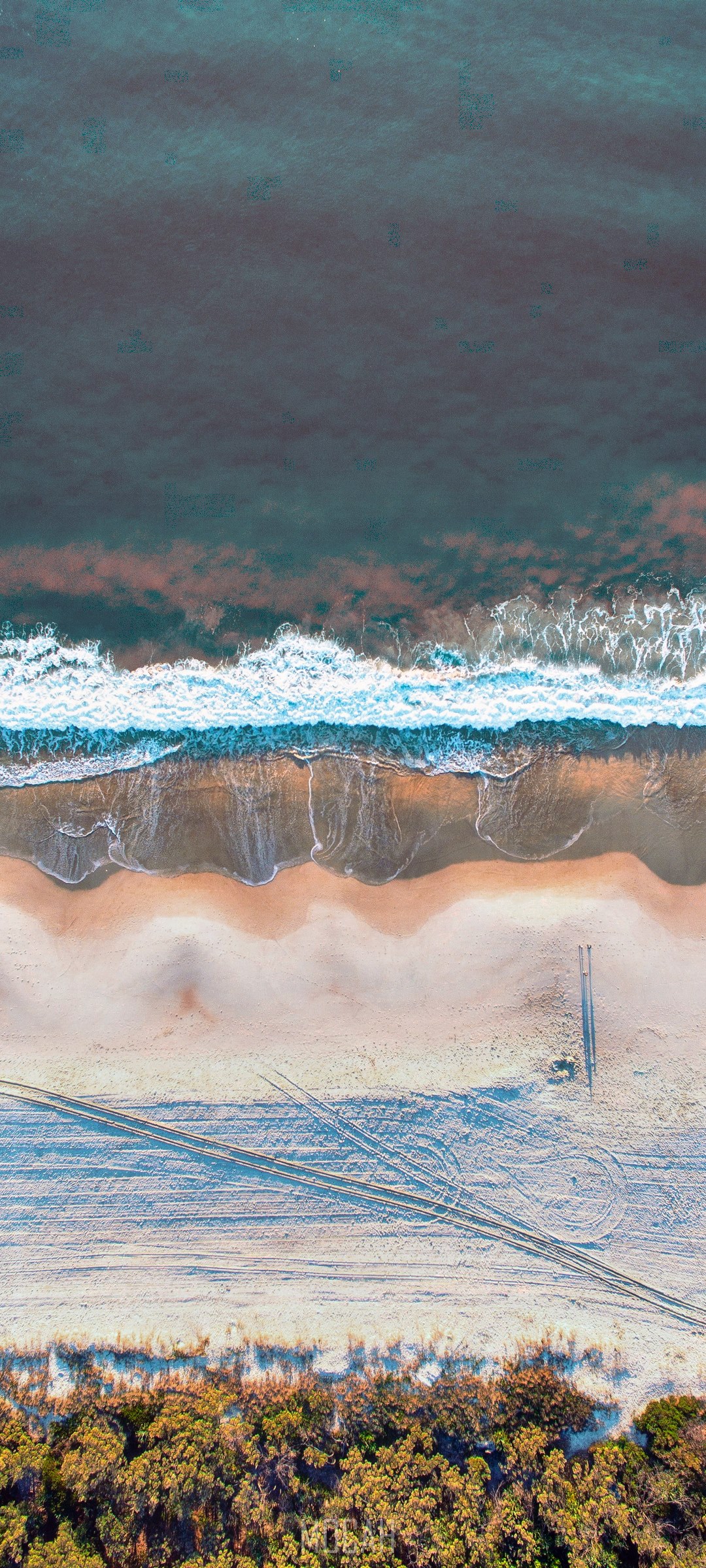 Aerial view of a beach with waves and trees HD Phone Wallpaper