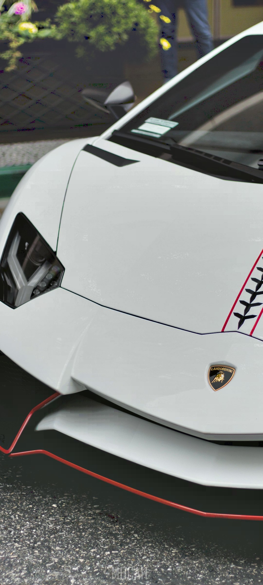 White Lamborghini Aventador with racing stripes HD Phone Wallpaper