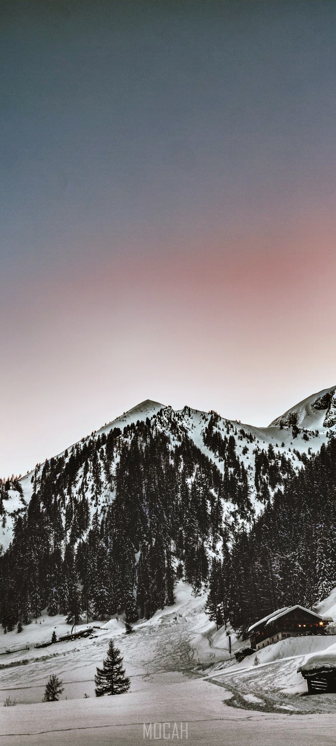 Snowy mountains with trees and a cabin during blue hour HD Phone Wallpaper