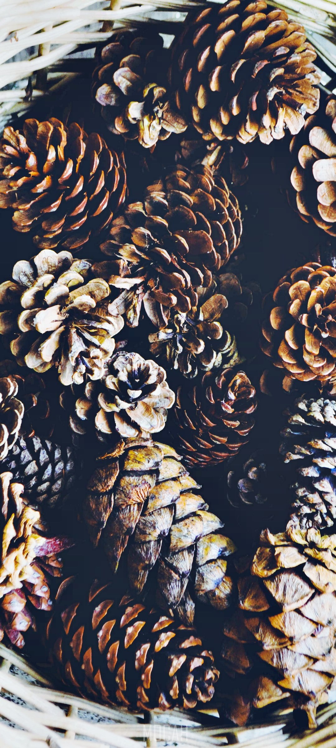 Basket of pinecones HD Phone Wallpaper