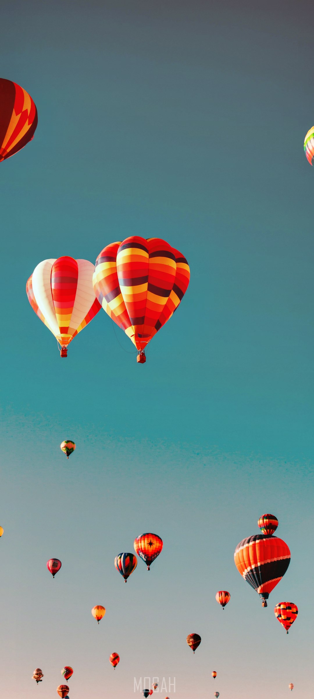 Hot air balloons in the sky HD Phone Wallpaper