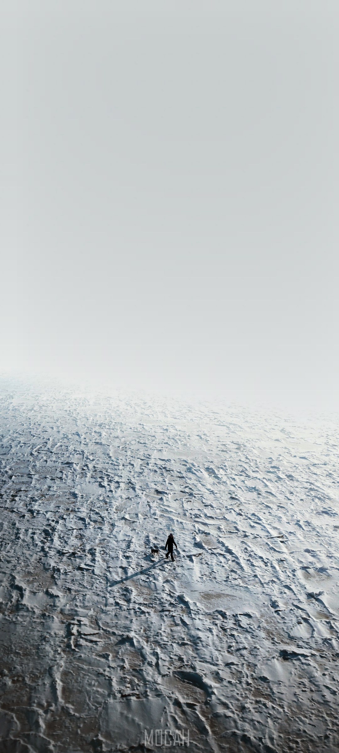 Person and dog walking on a vast icy landscape HD Phone Wallpaper