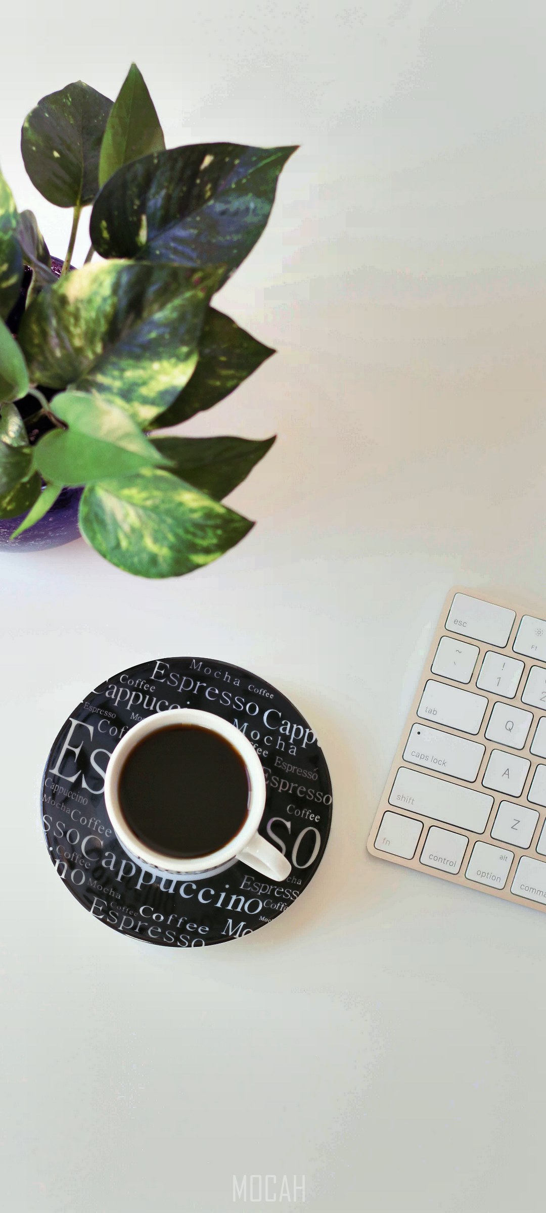 Coffee cup on coaster next to plant and keyboard HD Phone Wallpaper