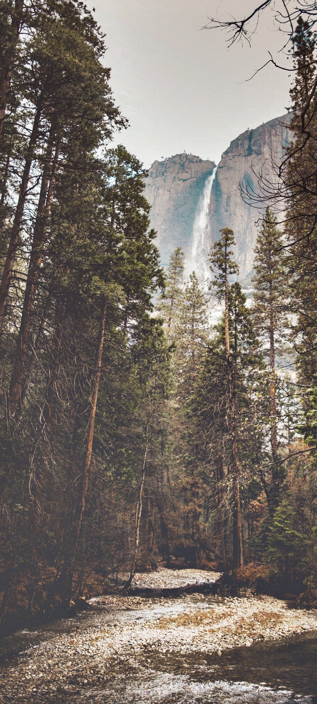 Waterfall seen through a forest with a stream HD Phone Wallpaper