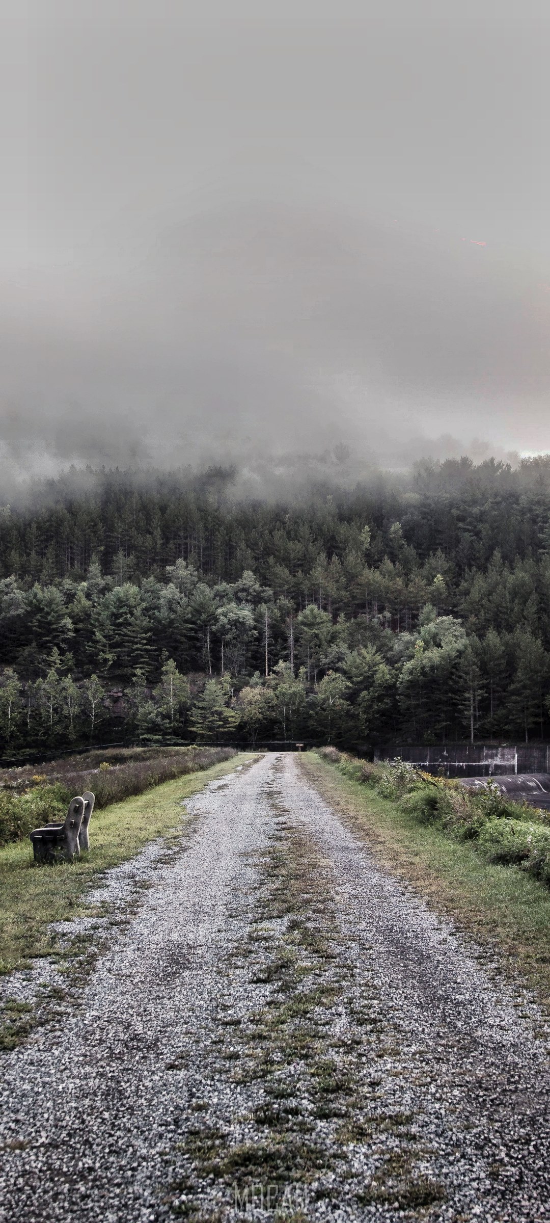 Gravel road leading to a foggy forest HD Phone Wallpaper