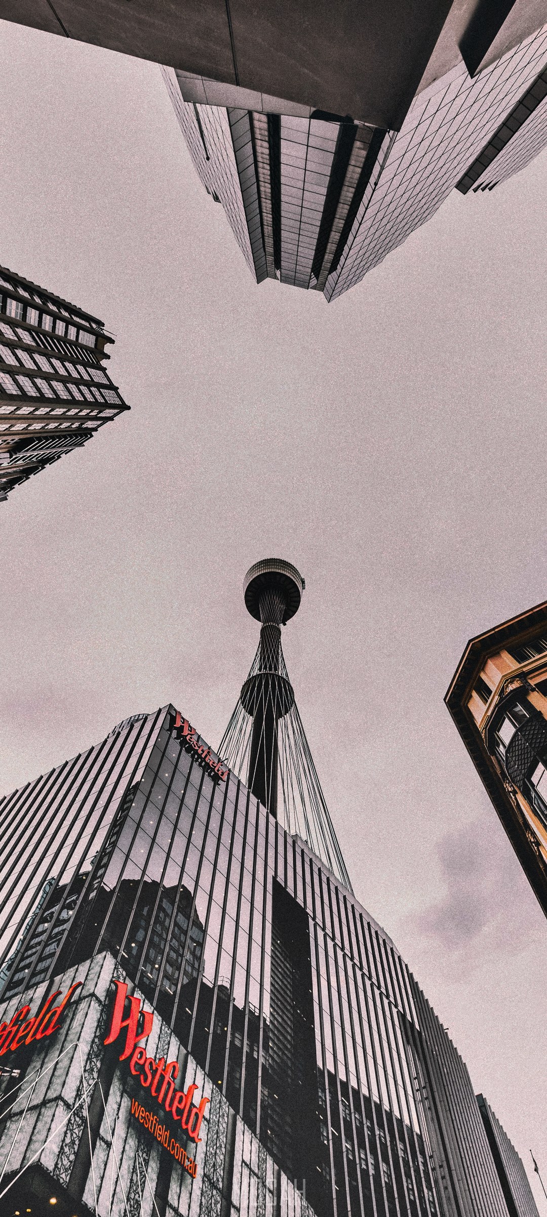 Westfield Sydney Tower Eye buildings HD Phone Wallpaper