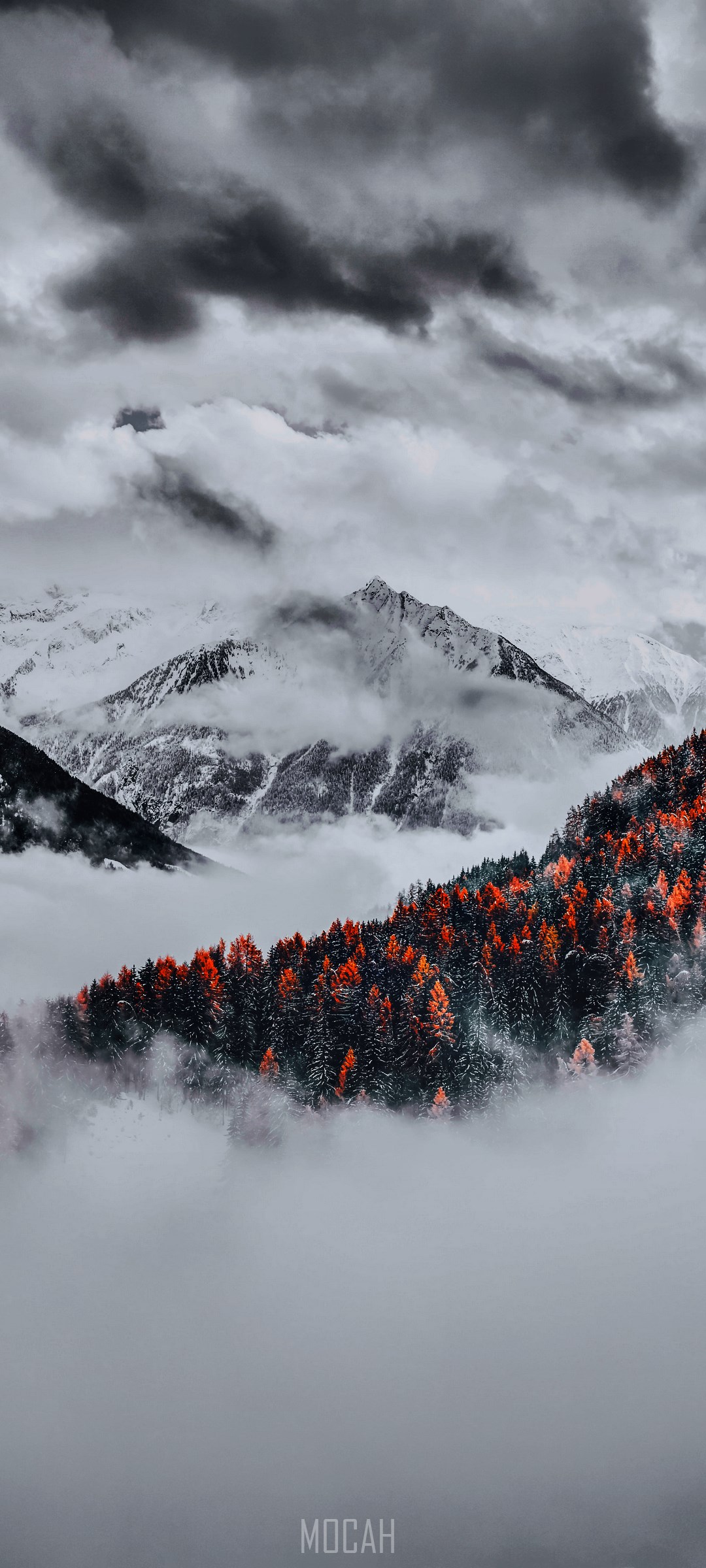 Misty Mountain with Autumn Forest and Snow HD Phone Wallpaper