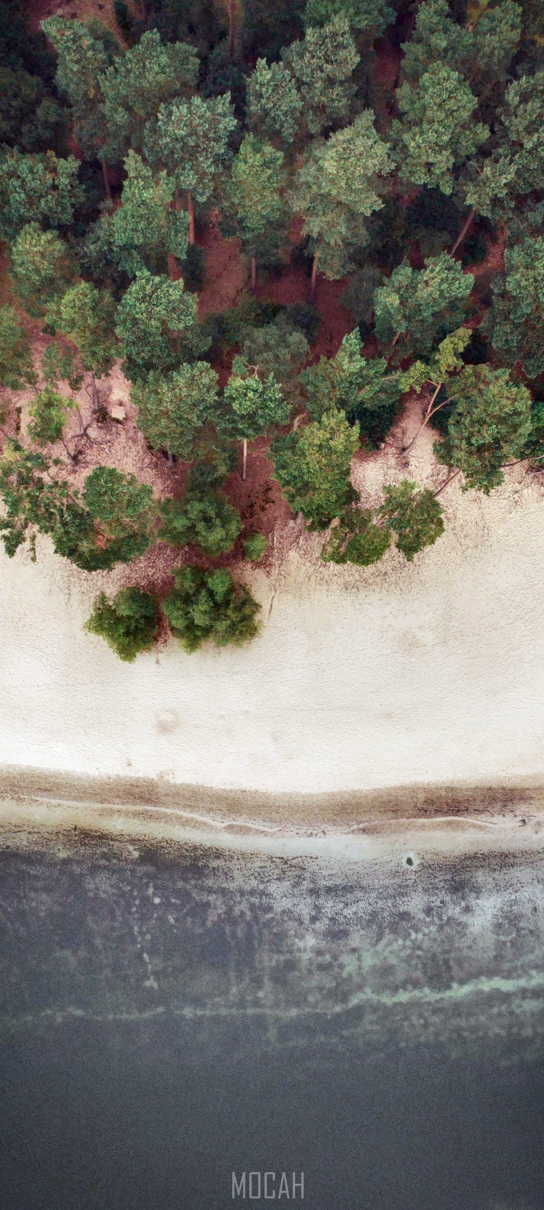 Aerial view of a forest meeting a sandy beach and ocean HD Phone Wallpaper