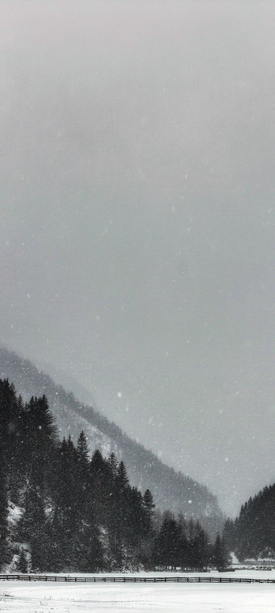 Snowfall over a forested mountain valley HD Phone Wallpaper