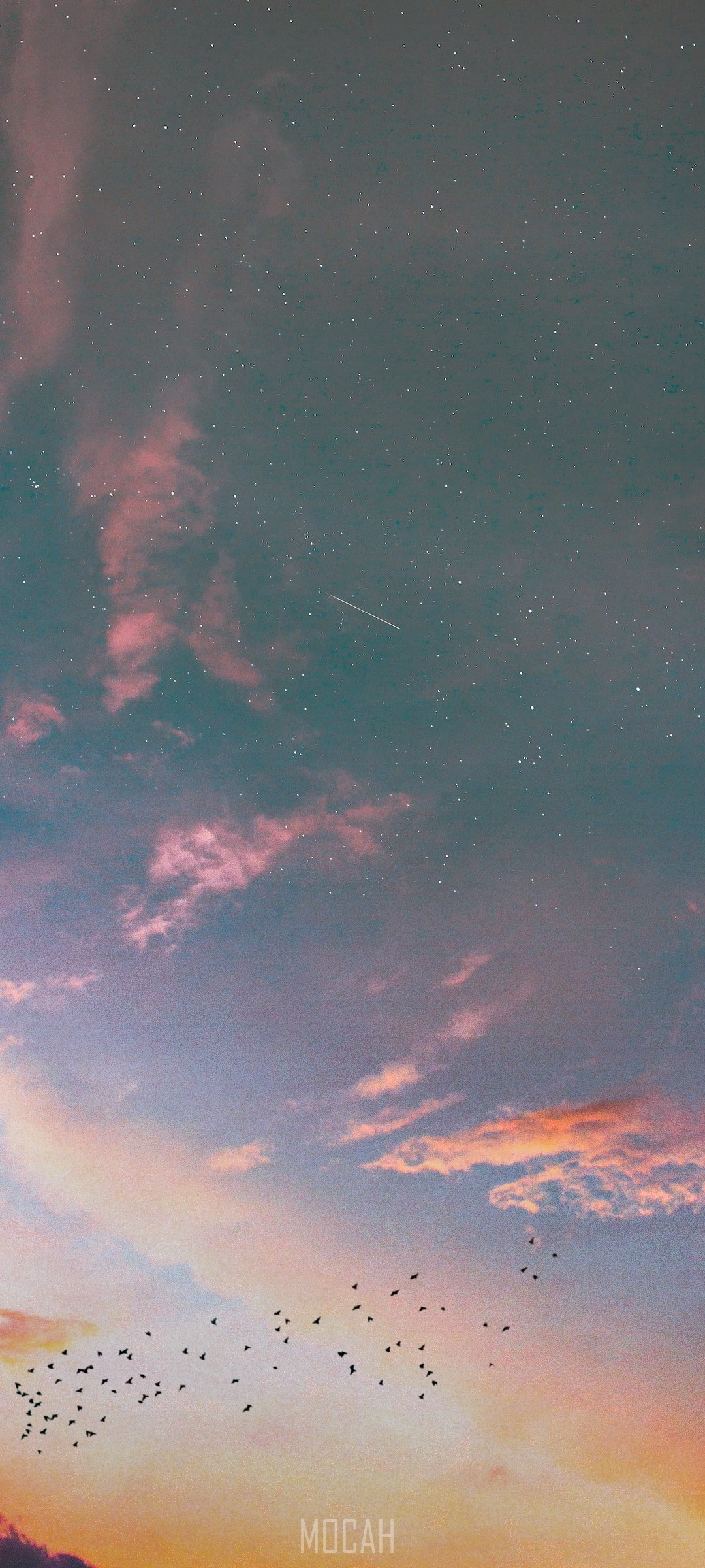 Starry sky with pink clouds and birds HD Phone Wallpaper