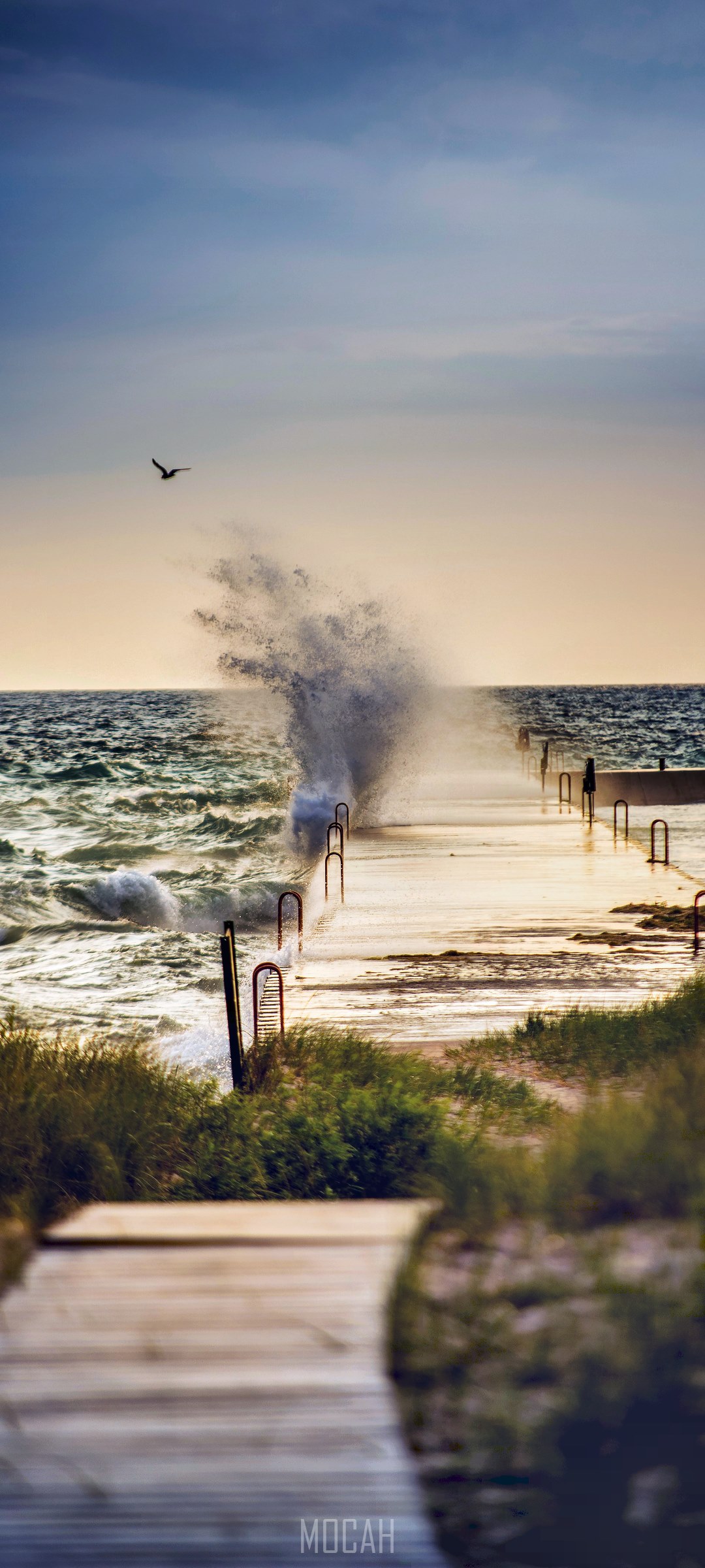 Wave crashing on a pier at dusk with a bird flying HD Phone Wallpaper