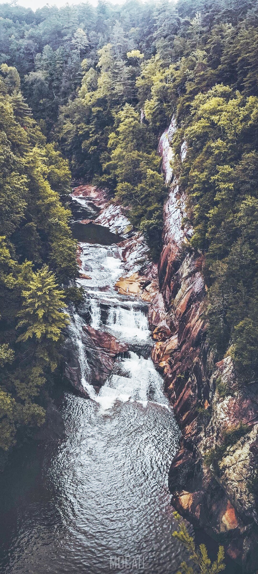 Waterfall cascading through a forest gorge HD Phone Wallpaper