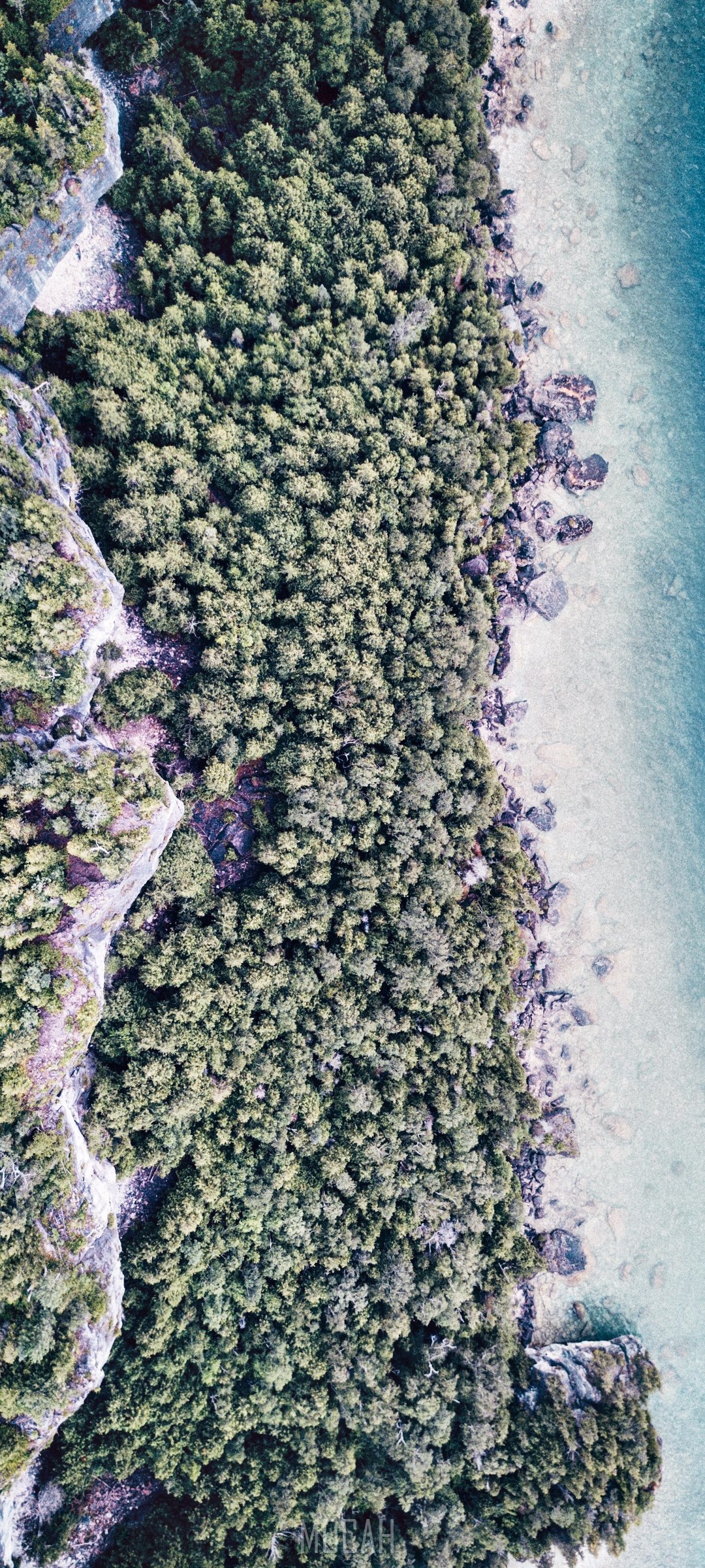 Aerial view of Bruce Peninsula forest and shoreline HD Phone Wallpaper