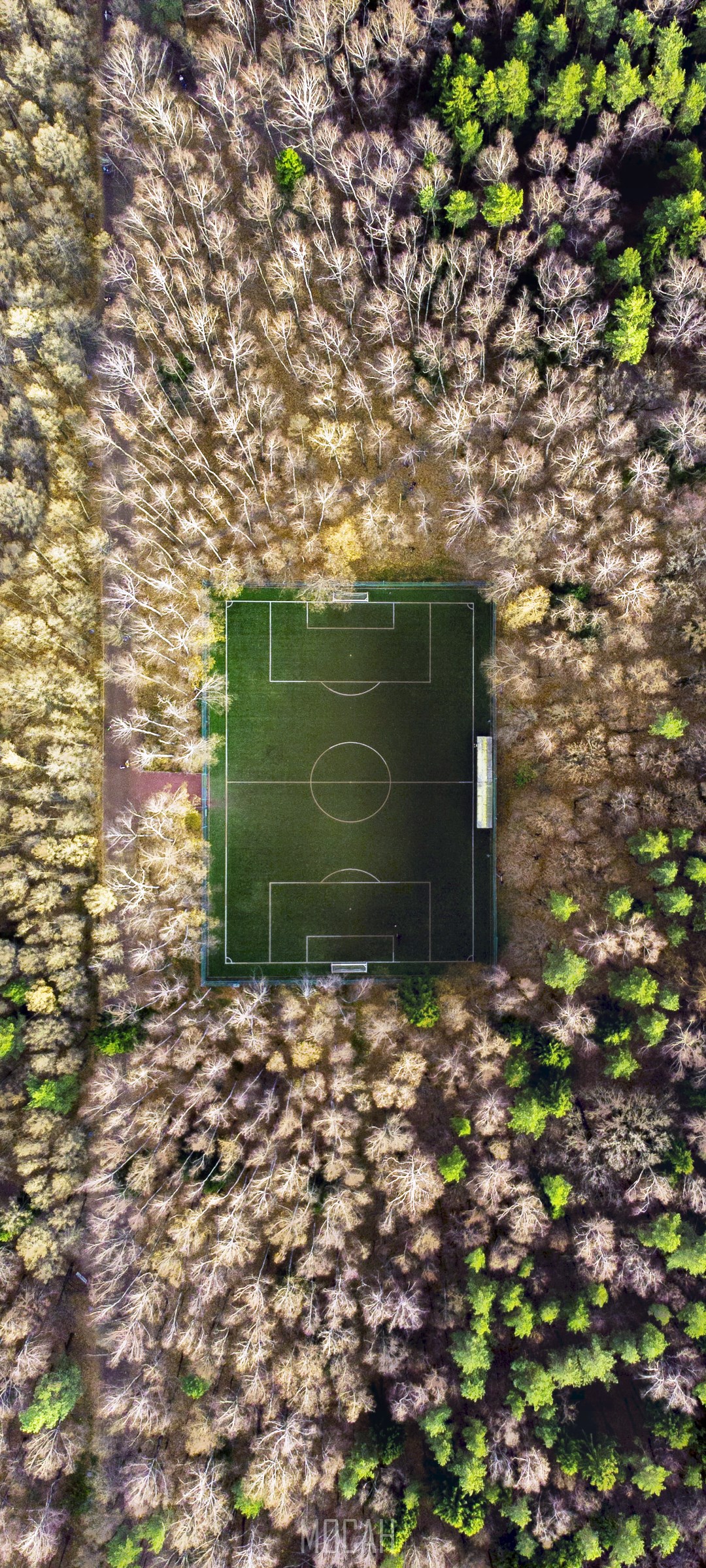 Aerial view of a soccer field surrounded by trees HD Phone Wallpaper
