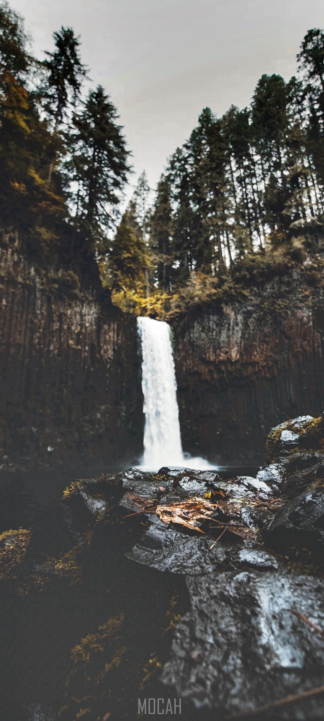 Waterfall in a forest HD Phone Wallpaper