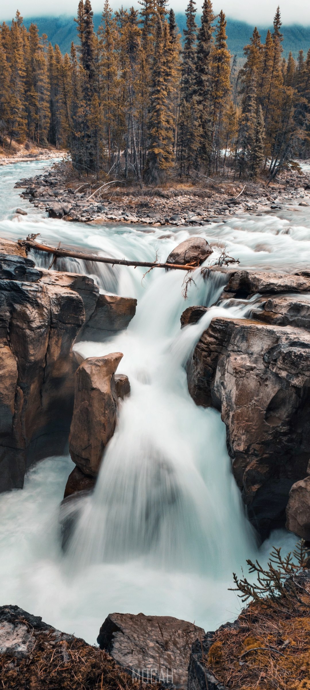 Waterfall flowing through a rocky canyon with trees HD Phone Wallpaper