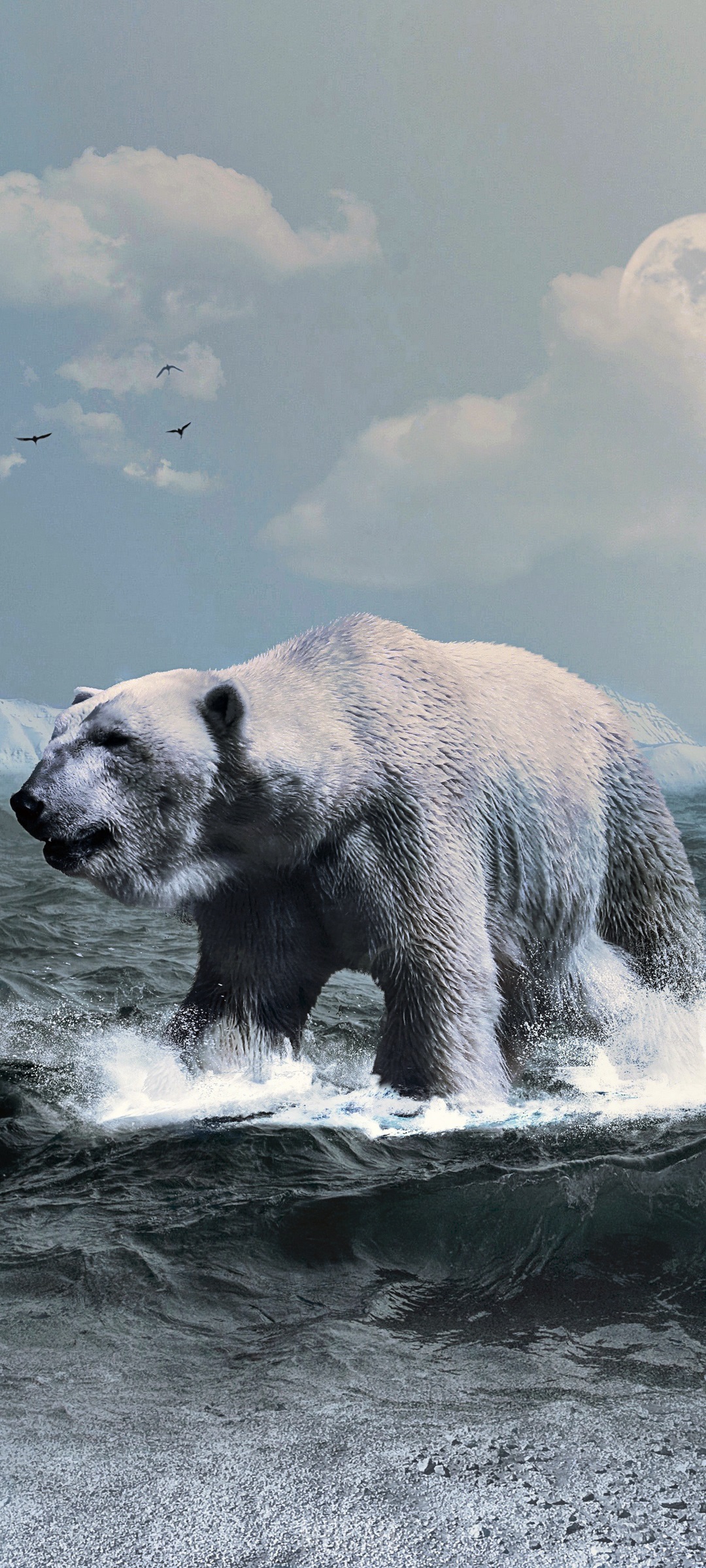 Polar Bear Walking Through Water HD Phone Wallpaper