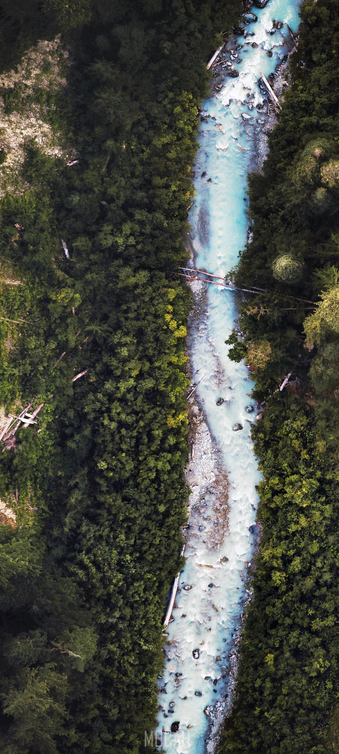 Aerial view of a turquoise river flowing through a dense forest HD Phone Wallpaper