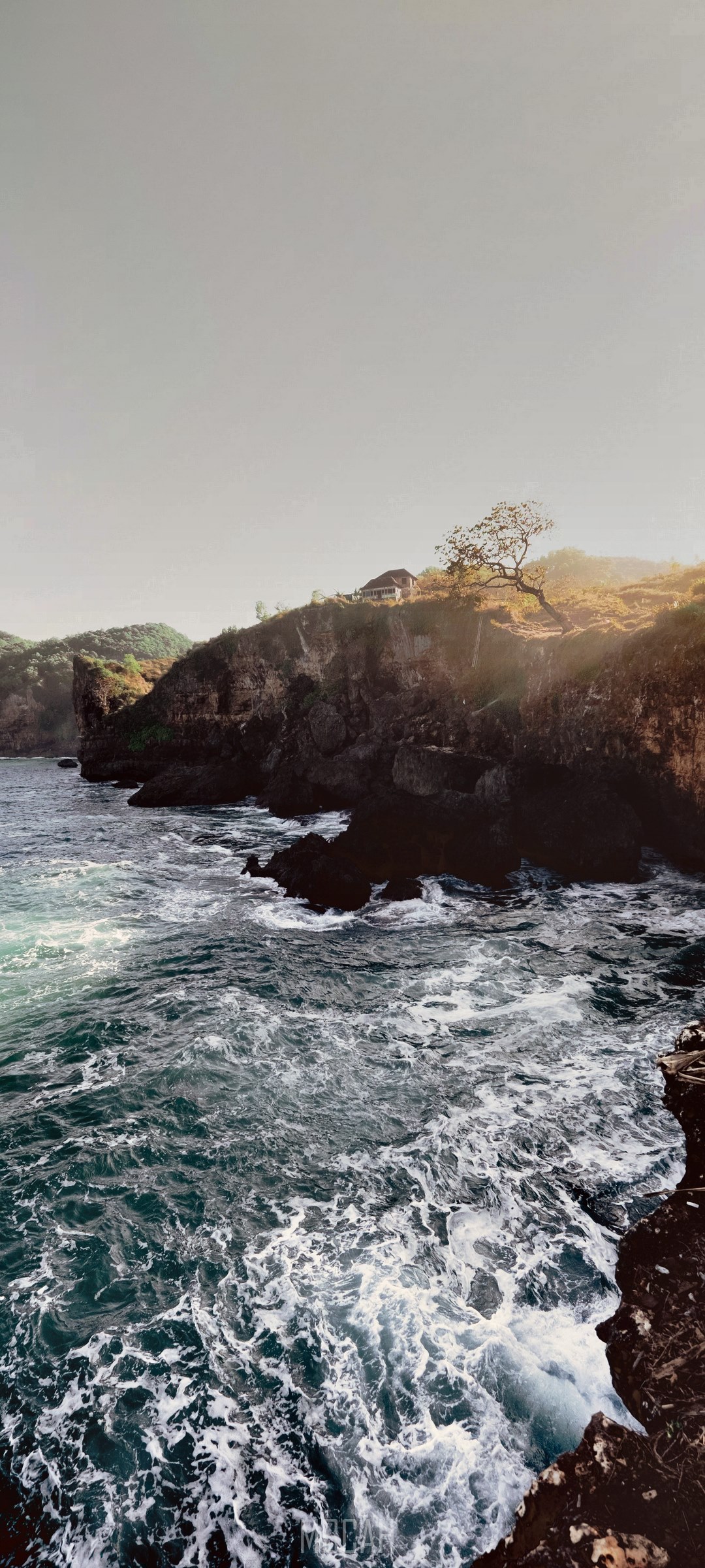 Rocky coastline with waves crashing and a tree on a cliff HD Phone Wallpaper