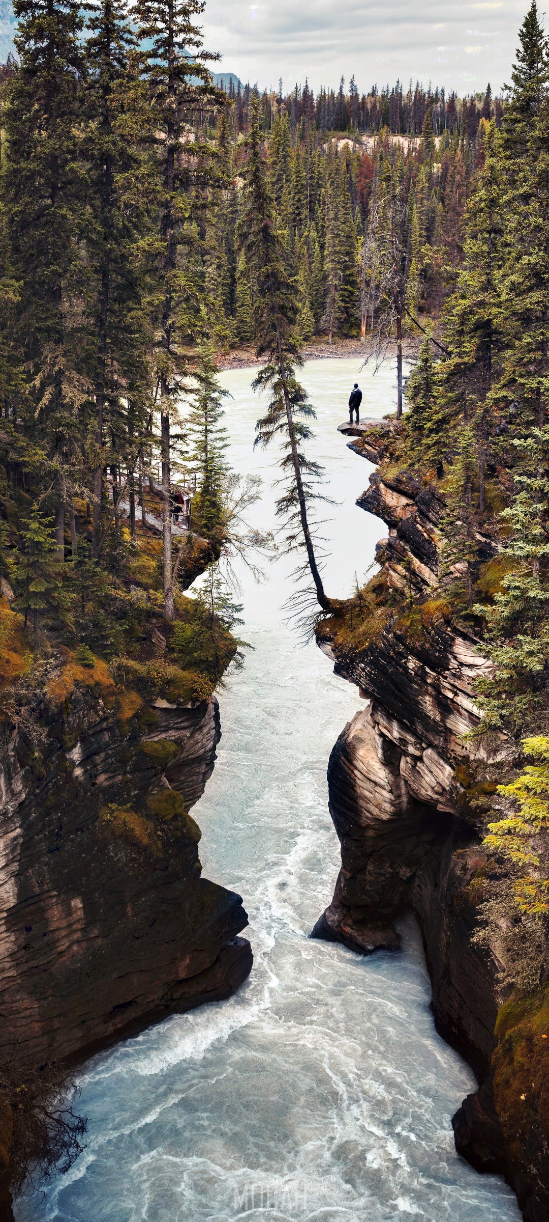 Man standing on cliff overlooking Athabasca Falls HD Phone Wallpaper