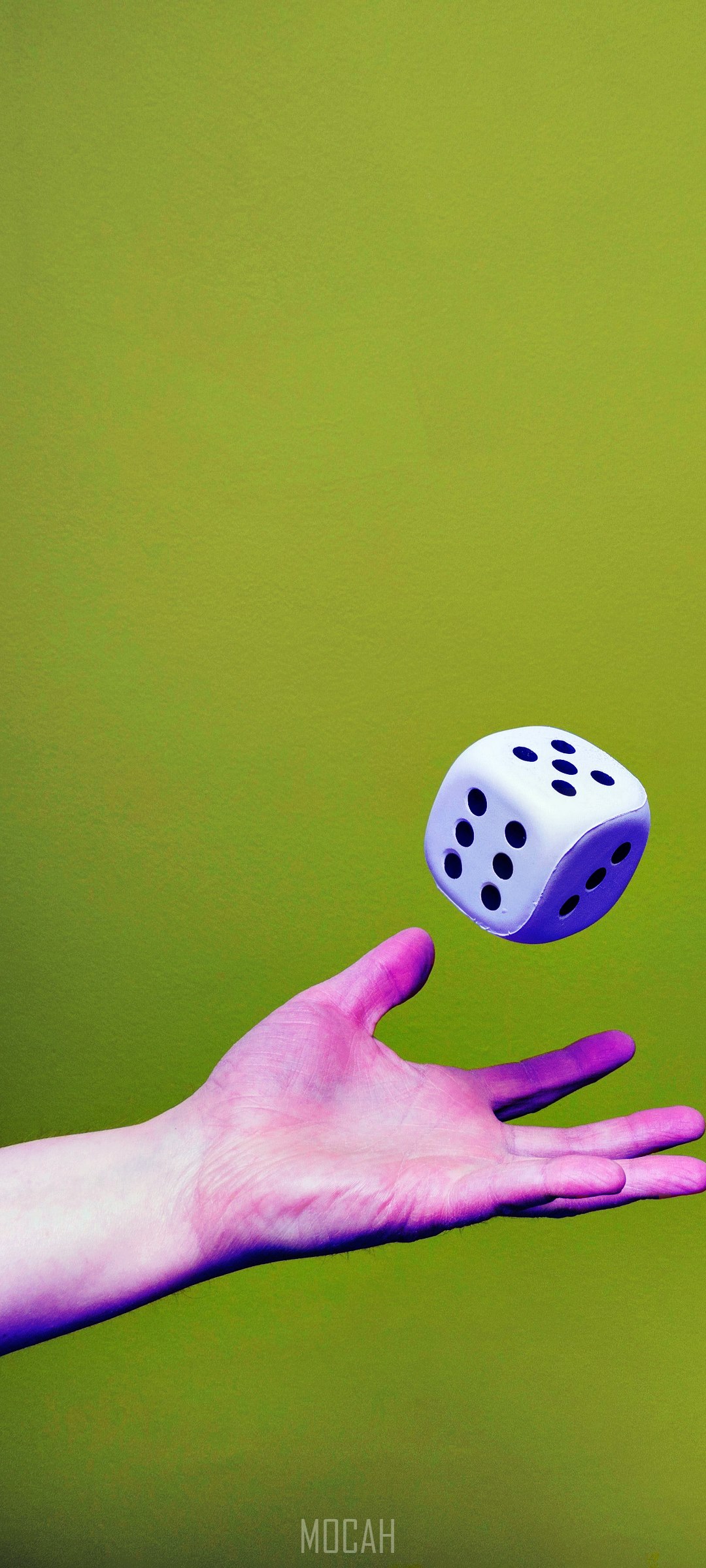 Hand tossing a white die HD Phone Wallpaper