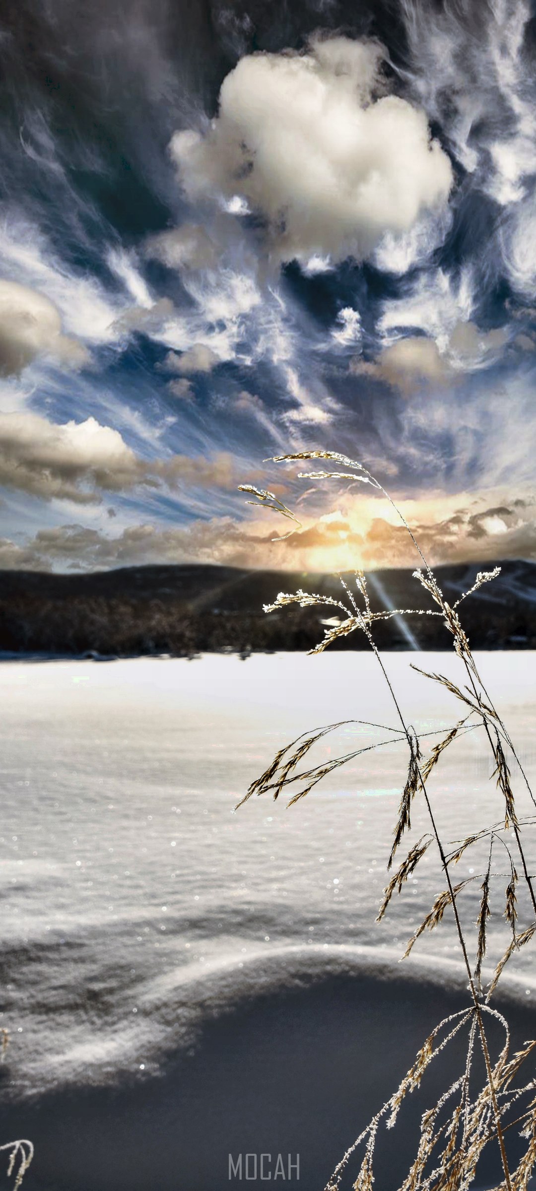Sunlight over snowy landscape with dry grass HD Phone Wallpaper