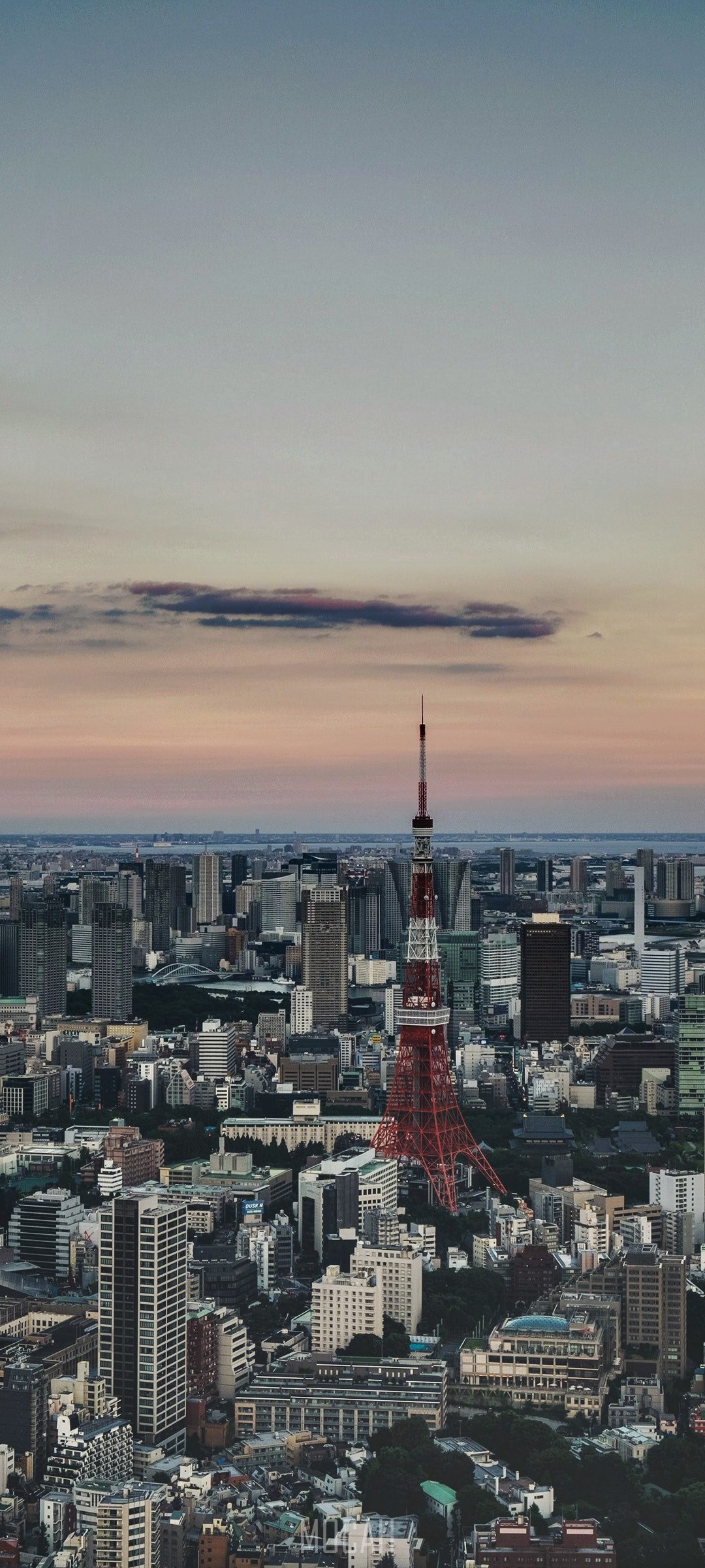 Tokyo cityscape with Tokyo Tower at sunset HD Phone Wallpaper
