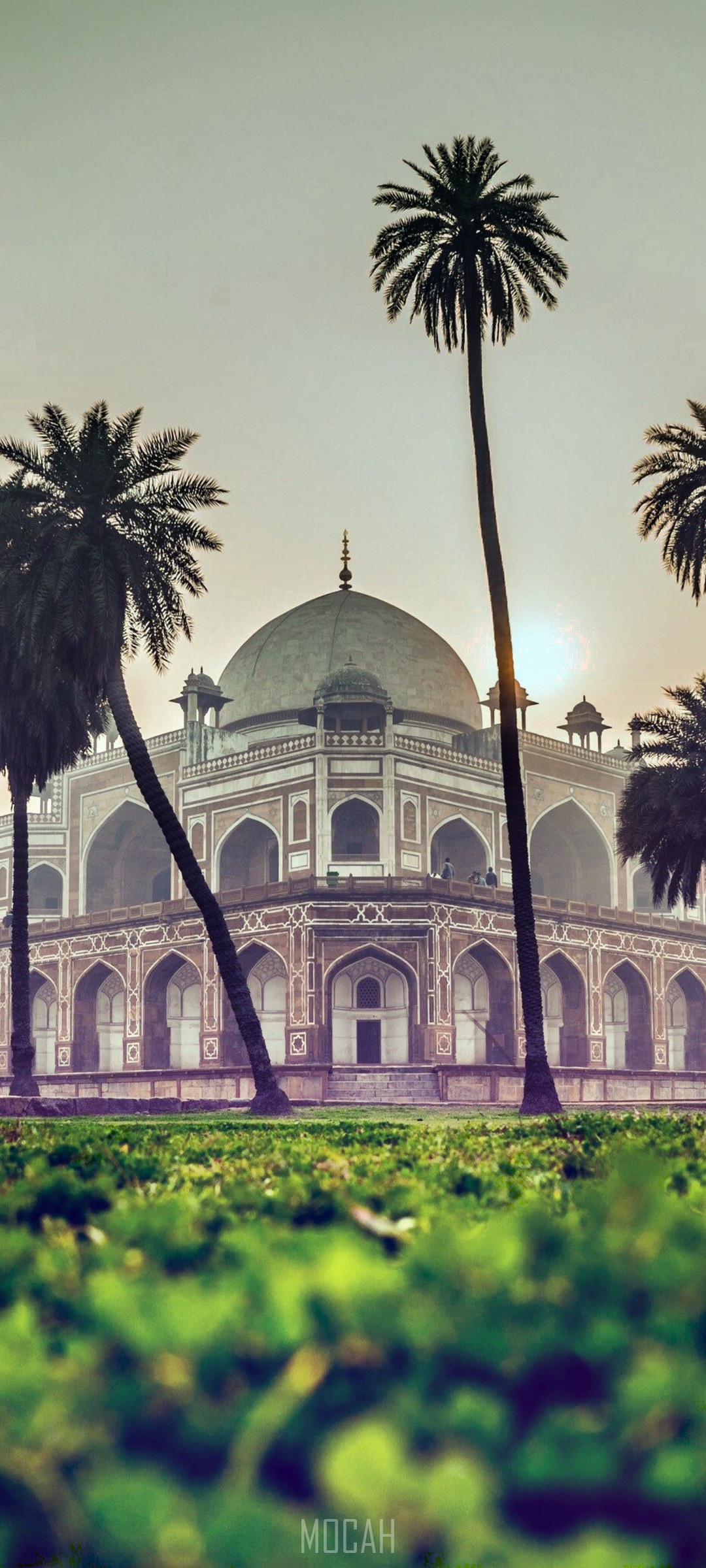 Humayun's Tomb with palm trees HD Phone Wallpaper