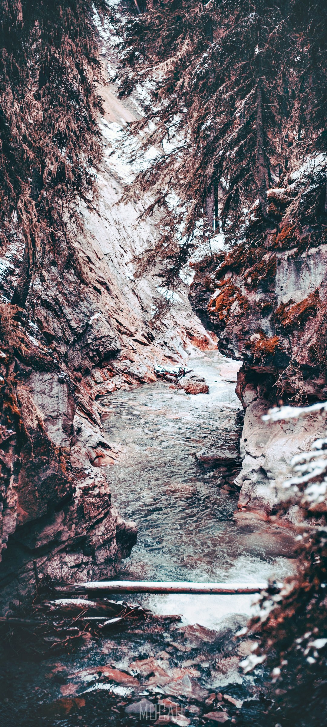 Winter forest canyon with river HD Phone Wallpaper
