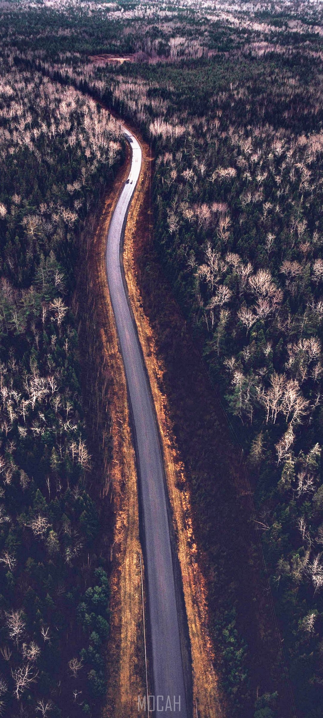 Aerial view of a winding road through a forest HD Phone Wallpaper