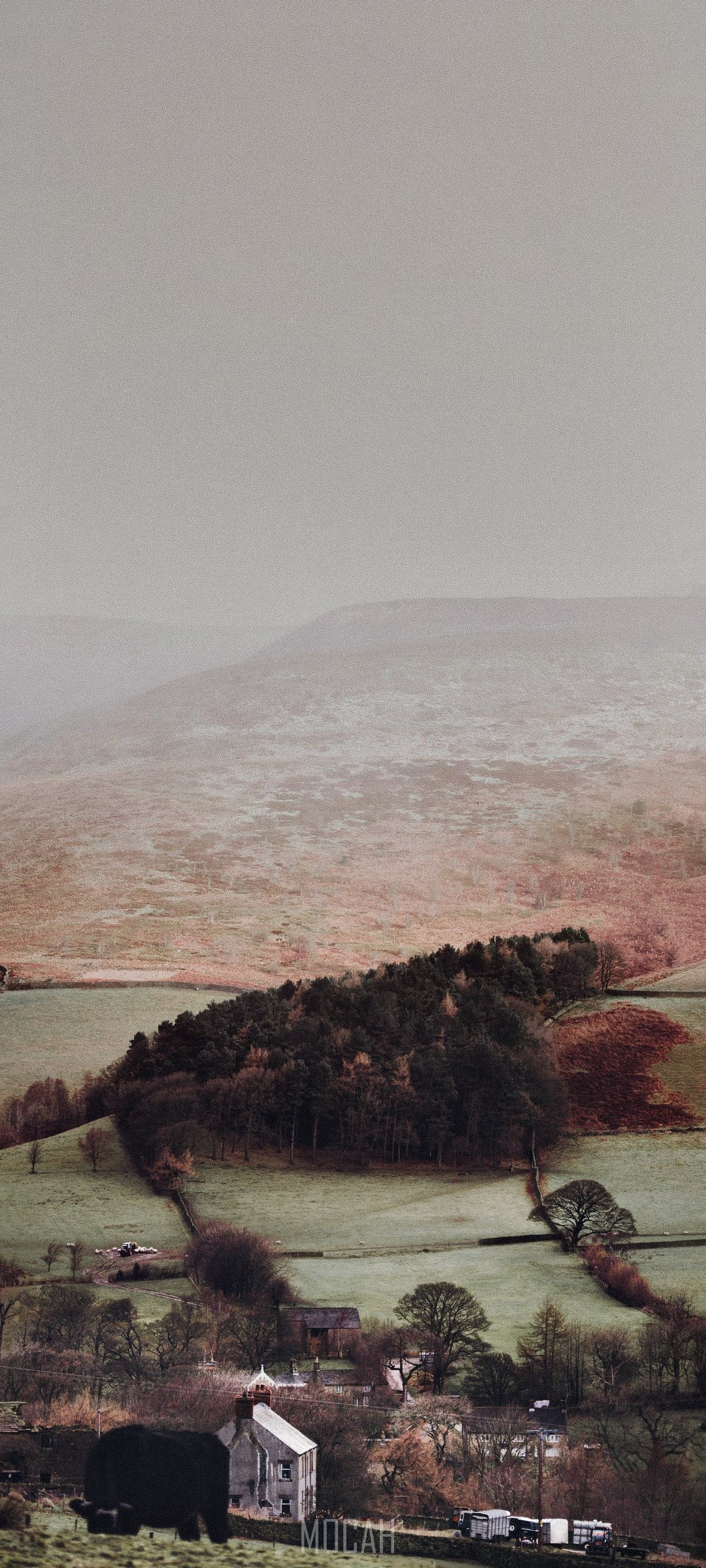 The Peak District landscape with a farm and trees HD Phone Wallpaper