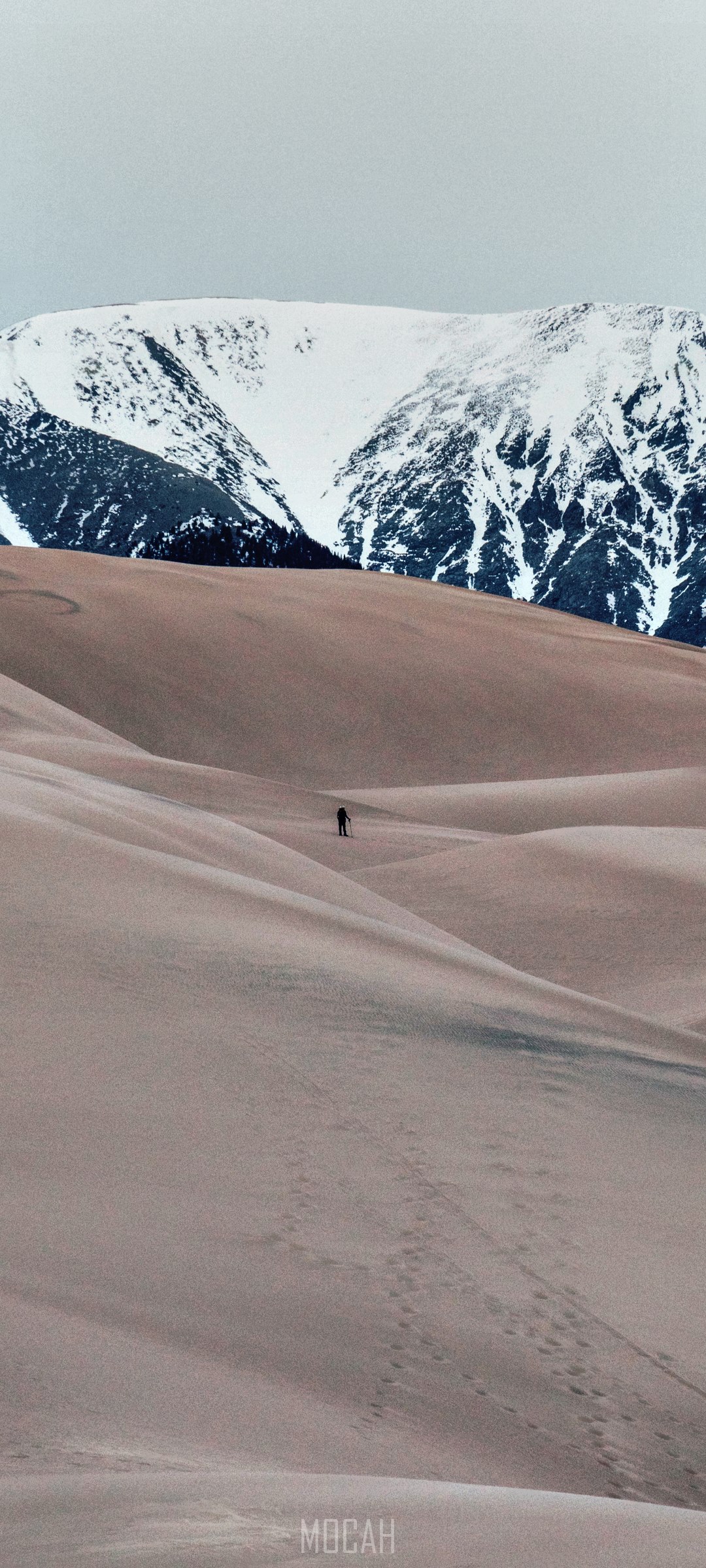 Lone hiker in sand dunes with snowy mountains HD Phone Wallpaper