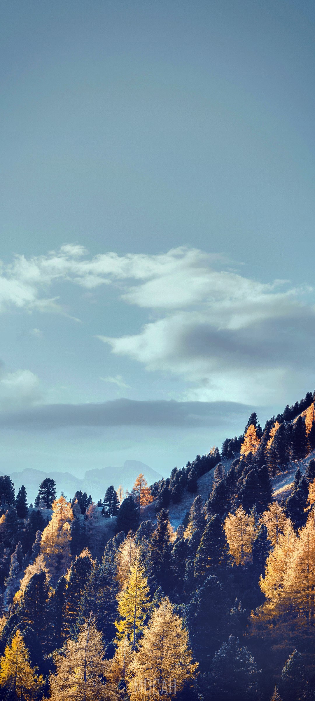 Mountain slope with autumn trees and clouds HD Phone Wallpaper