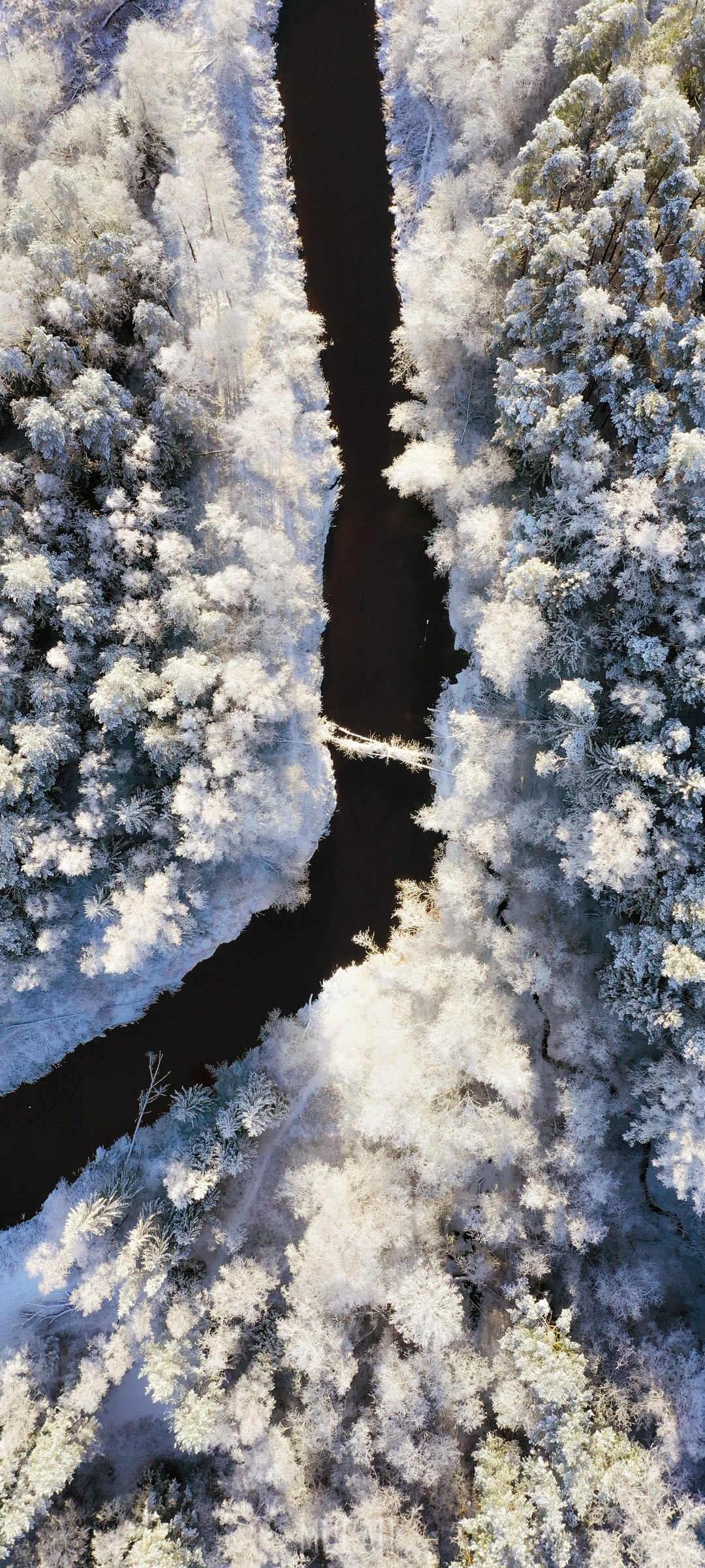 Aerial view of a frozen river through a snow-covered forest HD Phone Wallpaper