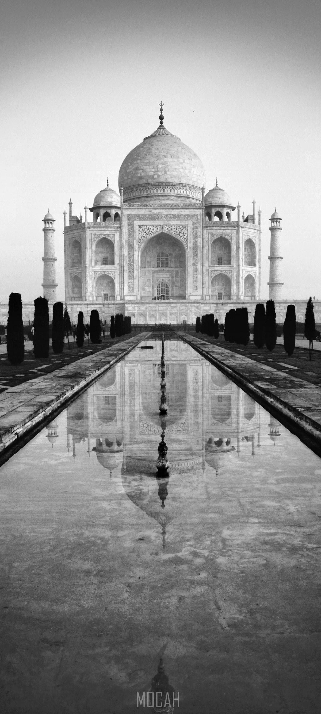 Taj Mahal reflected in water with cypress trees HD Phone Wallpaper