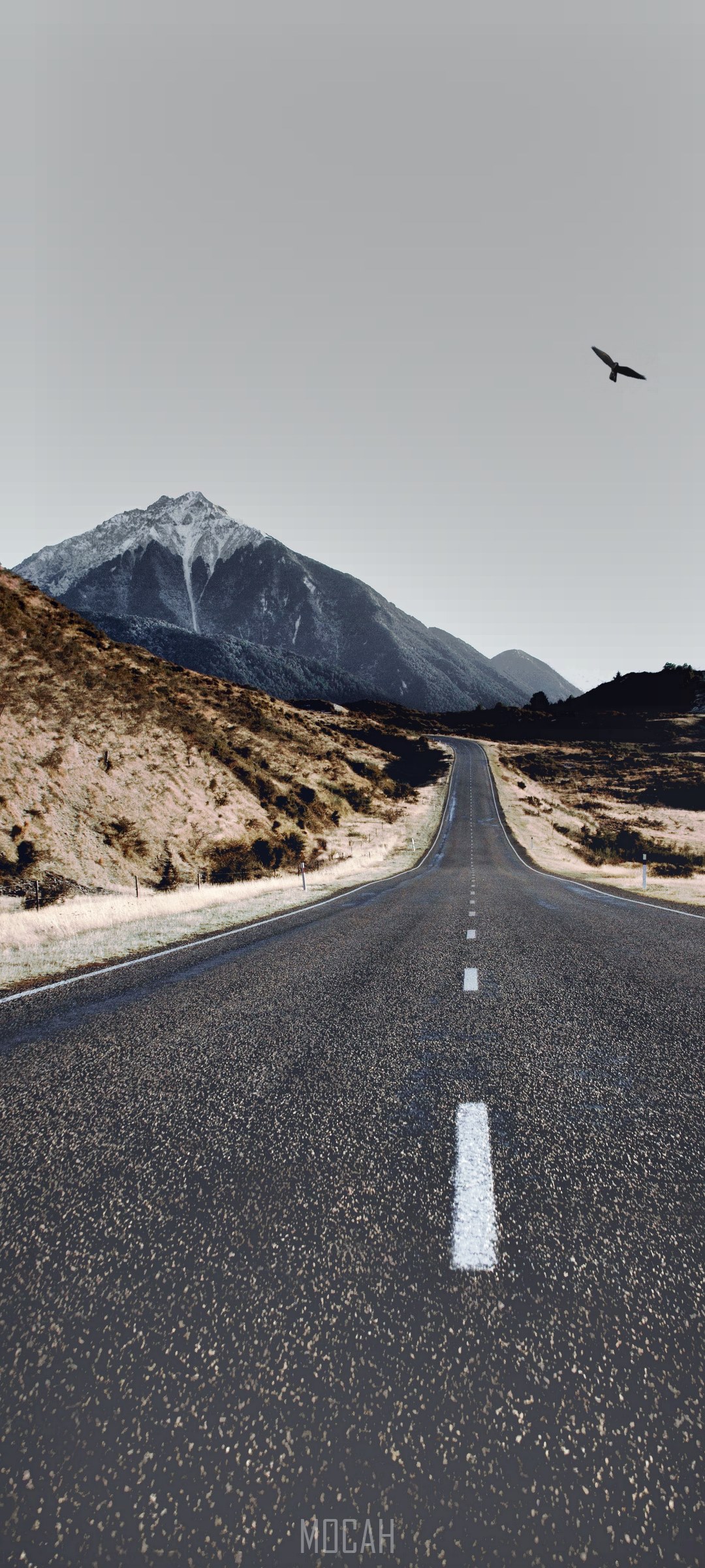 Empty road leading to a mountain in Arthur's Pass HD Phone Wallpaper