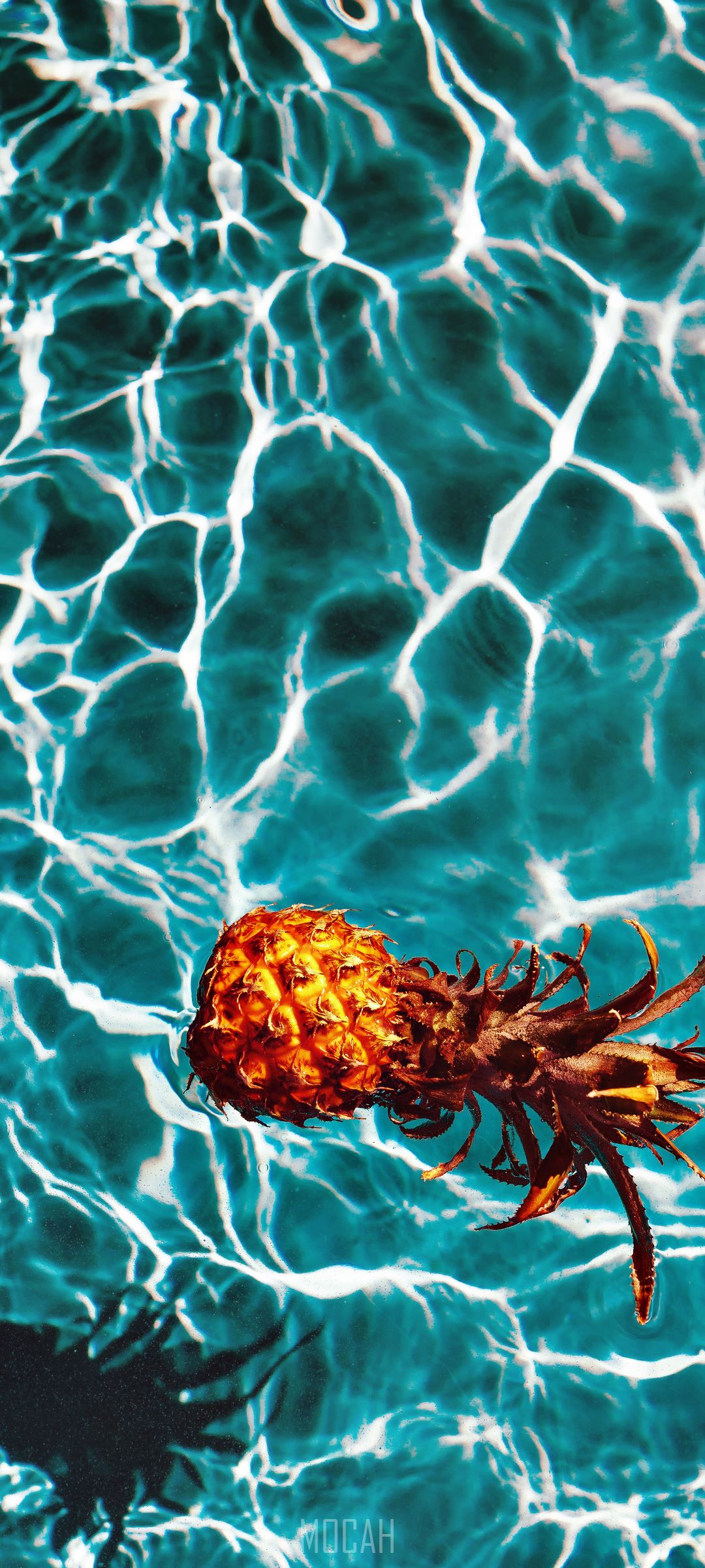 Pineapple floating in blue water with light reflections HD Phone Wallpaper