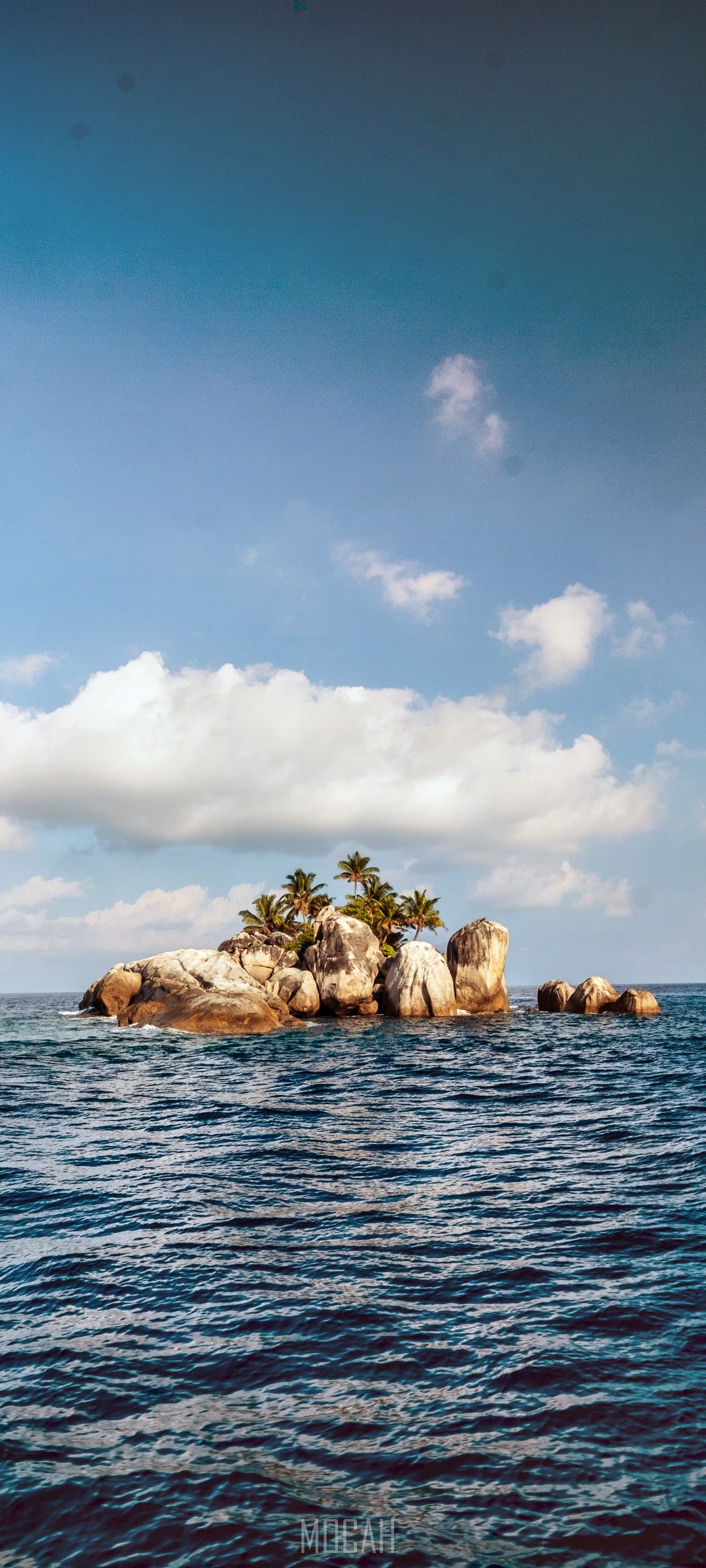 Lone island with palm trees in the ocean HD Phone Wallpaper