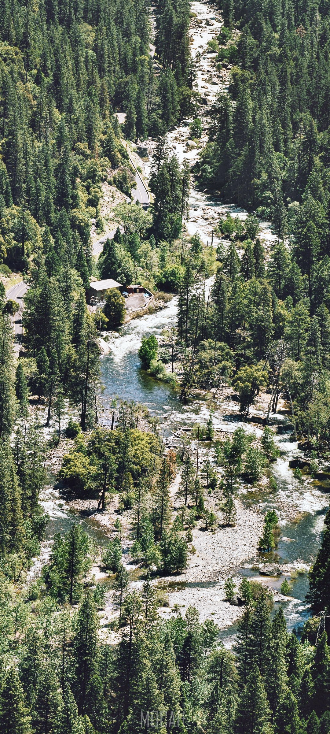 Forest stream and creek HD Phone Wallpaper