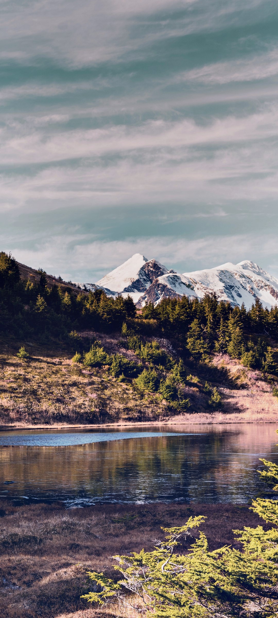 Snow-capped mountains reflected in a lake with pine trees HD Phone Wallpaper