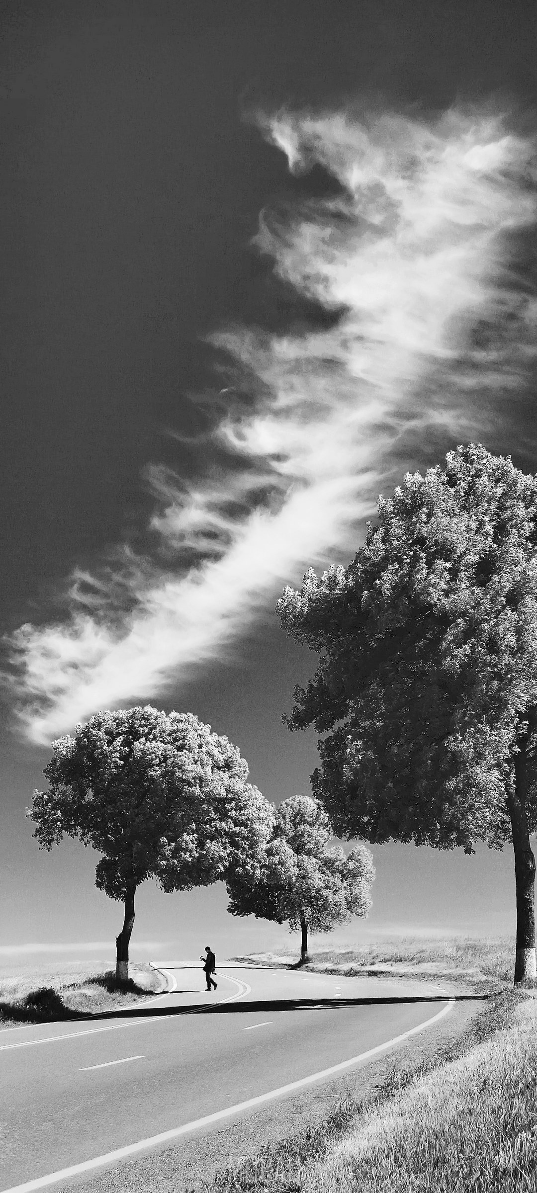 Person walking on a road with trees and clouds HD Phone Wallpaper