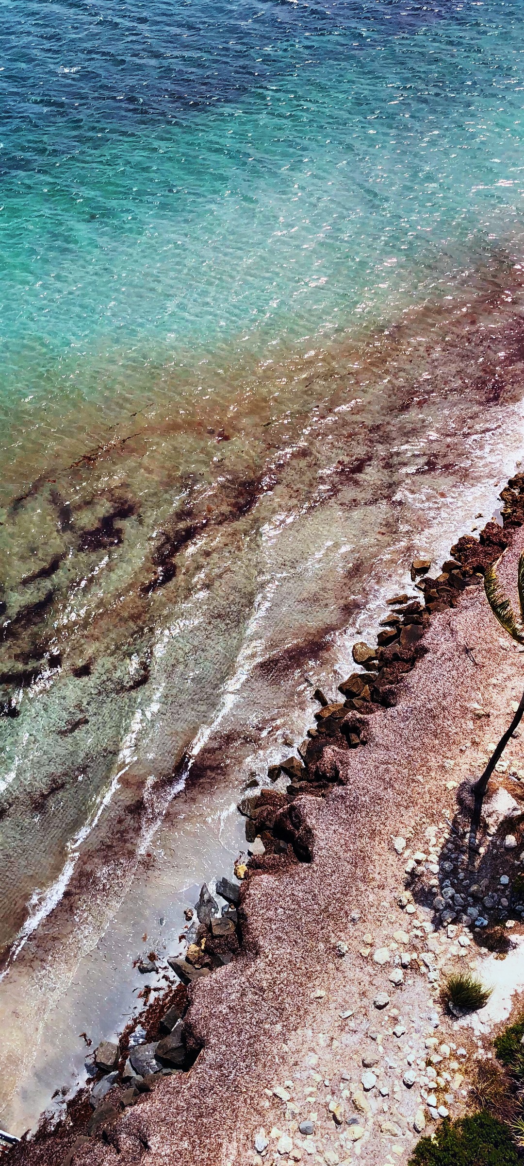Aerial view of a tropical beach with clear turquoise water and seaweed HD Phone Wallpaper